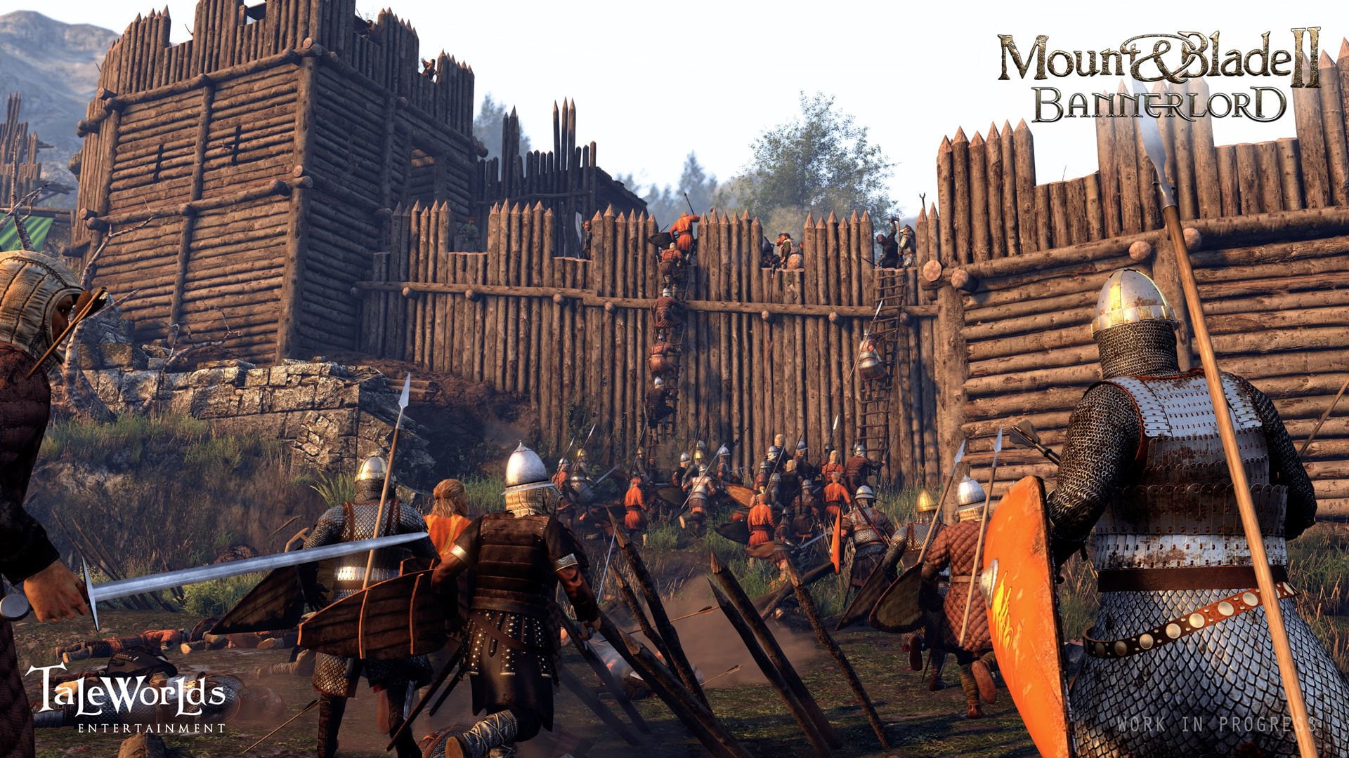Mount and Blade II: Bannerlord, Video Game, 1080P, HD Wallpaper