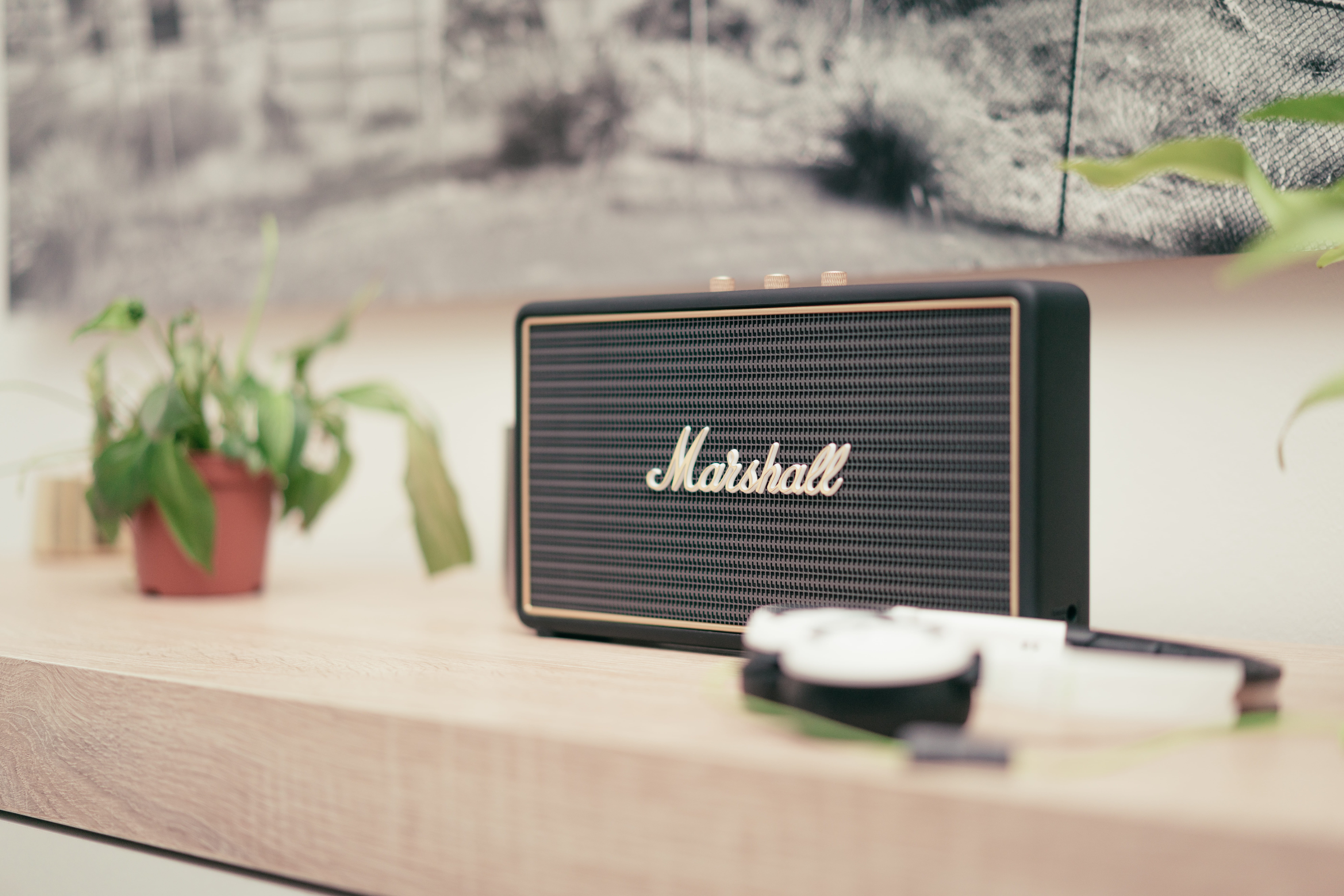 text, wood - material, top, still life, marshall, focus, plant, no people, bluetooth, focus on foreground, communication, brown, depth of field, technology, HD Wallpaper