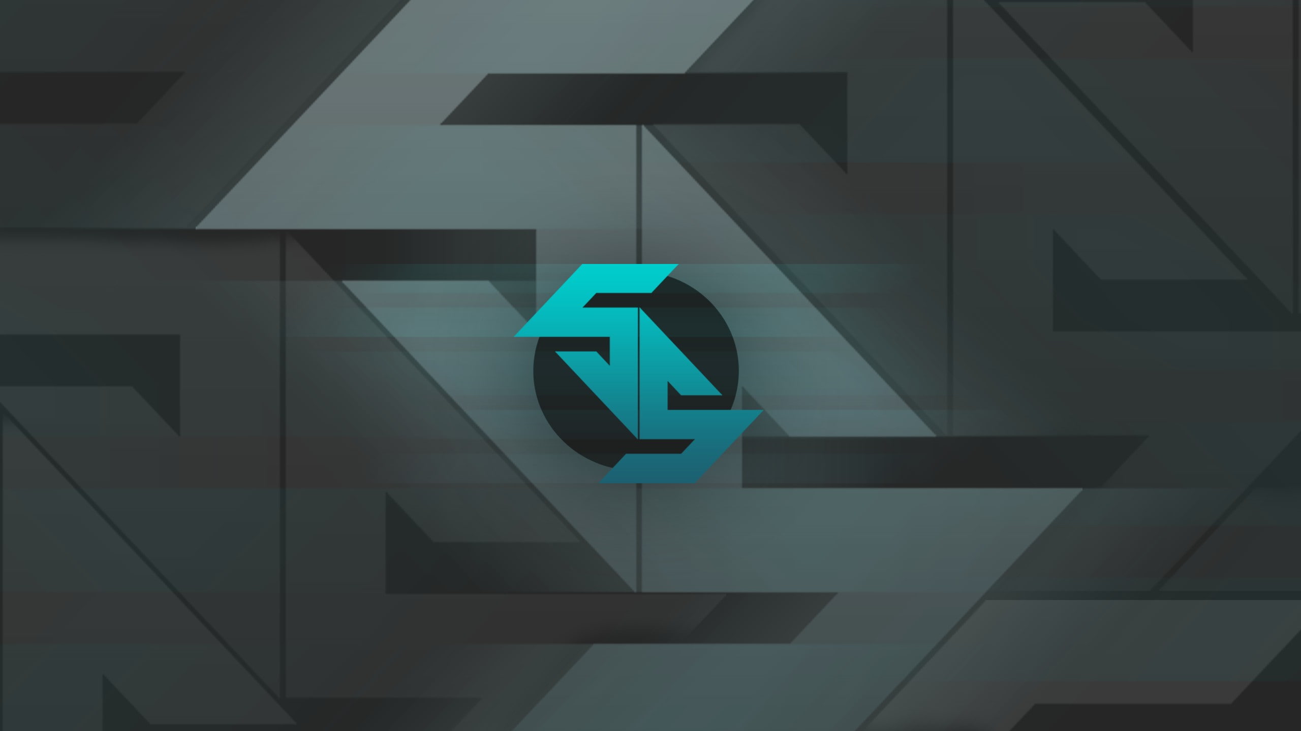 2K, Strike: Global Offensive, Counter, spes Salutis, CS:GO Team, HD Wallpaper