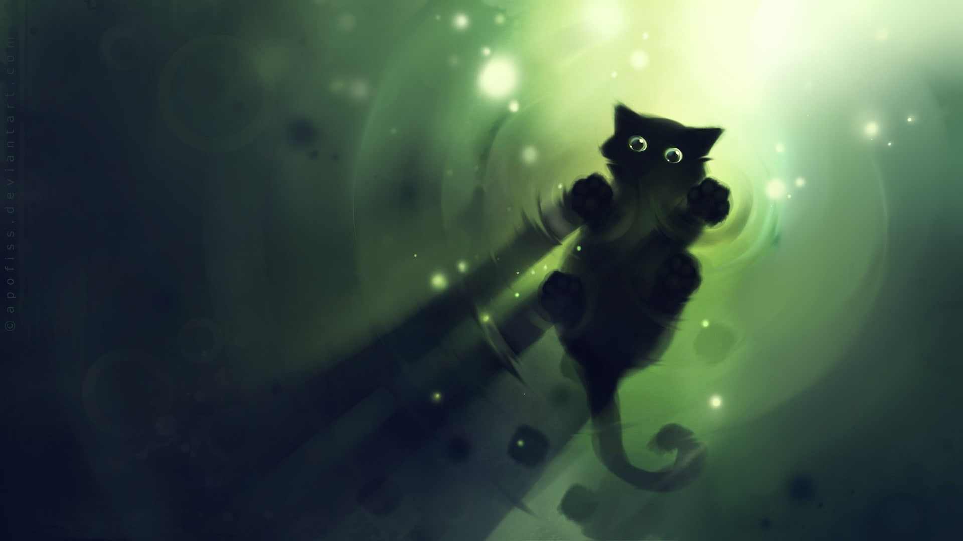 kitten, water, green, lights, apofiss, 1080P, shadow, HD Wallpaper