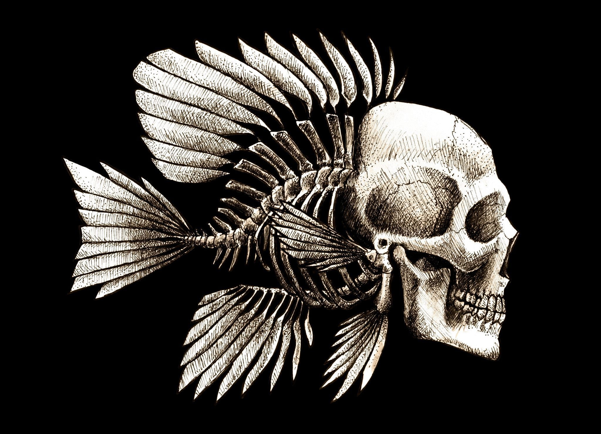 creativity, sake, illustration, fish, still life, black background, 1080P, close-up, single object, indoors, nature, plant, art and craft, leaf, growth, HD Wallpaper