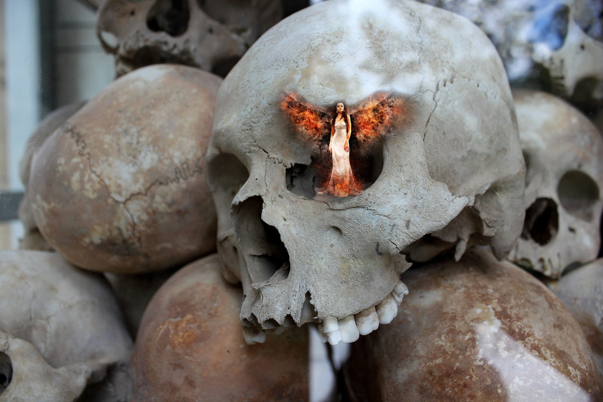 emotion, bones, girl, 1080P, animal body part, angel, skull, expression, close-up, spooky, halloween, skeleton, fire, bone, body part, human skeleton, HD Wallpaper