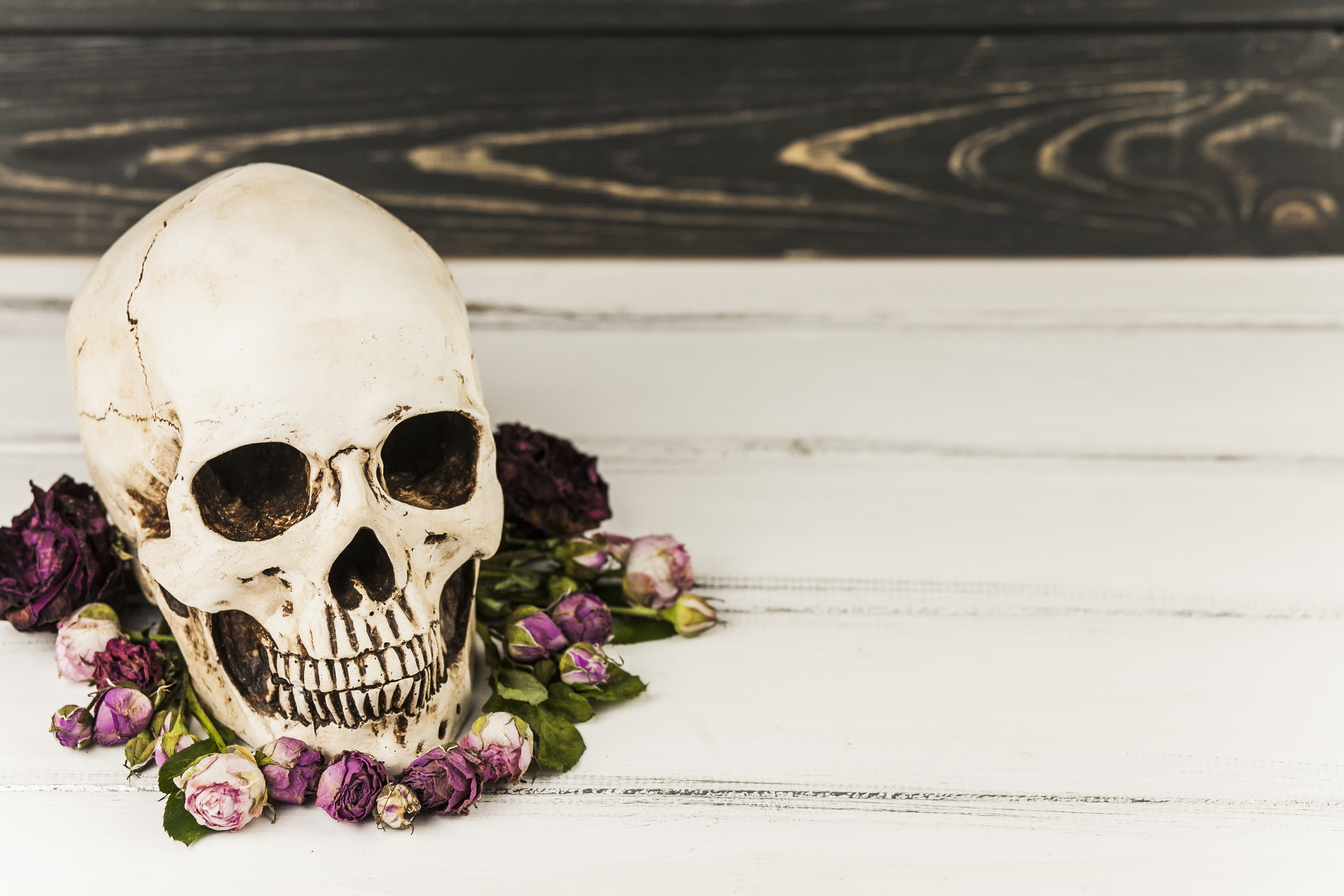 Halloween, skull, flowers, 4K, sake, HD Wallpaper