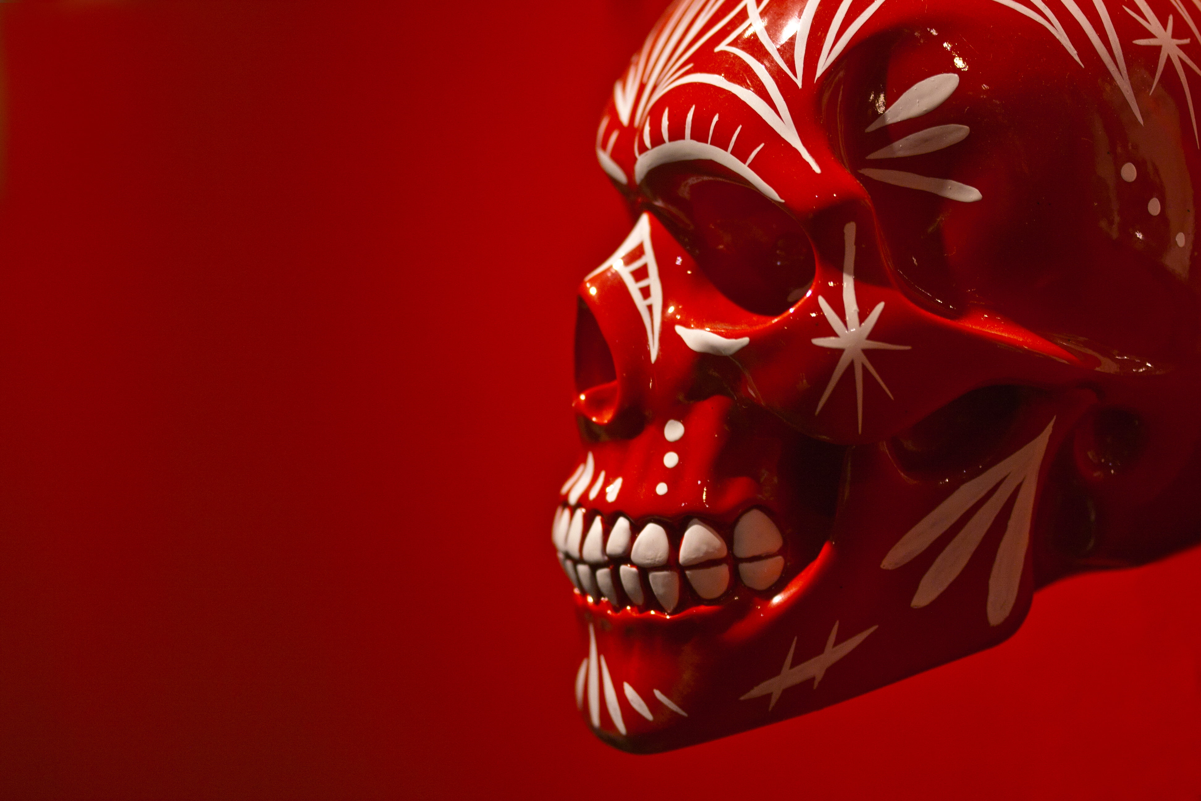 background, colored background, human representation, studio shot, representation, spooky, human skeleton, 4K, celebration, white, art and craft, halloween, HD Wallpaper