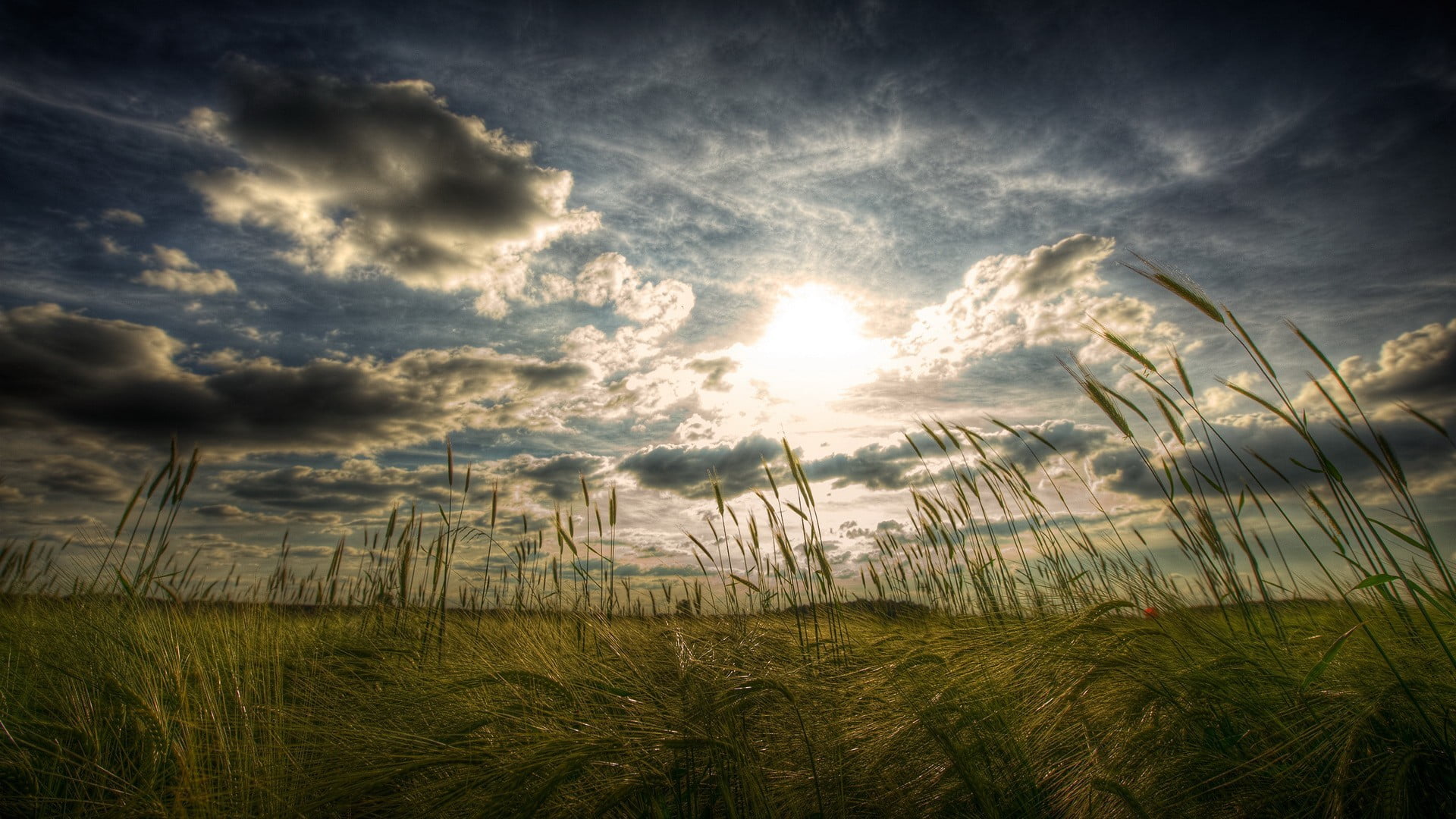 cloud - sky, environment, sunset, tranquility, beauty in nature, cloudscape, sunbeam, sky, landscape, plants, plant, nature, scenics - nature, no people, HD Wallpaper