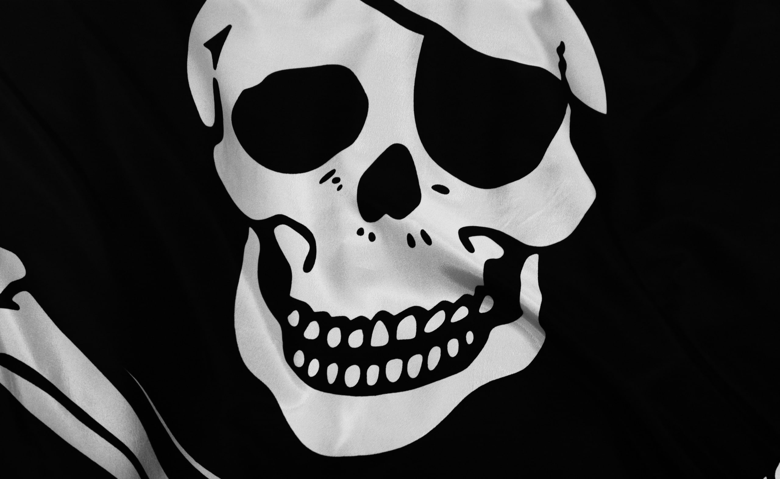 Flag, printed, mask - disguise, bone, human representation, no people, textile, skeleton, celebration, mask, carnival - celebration event, costume, close-up, HD Wallpaper