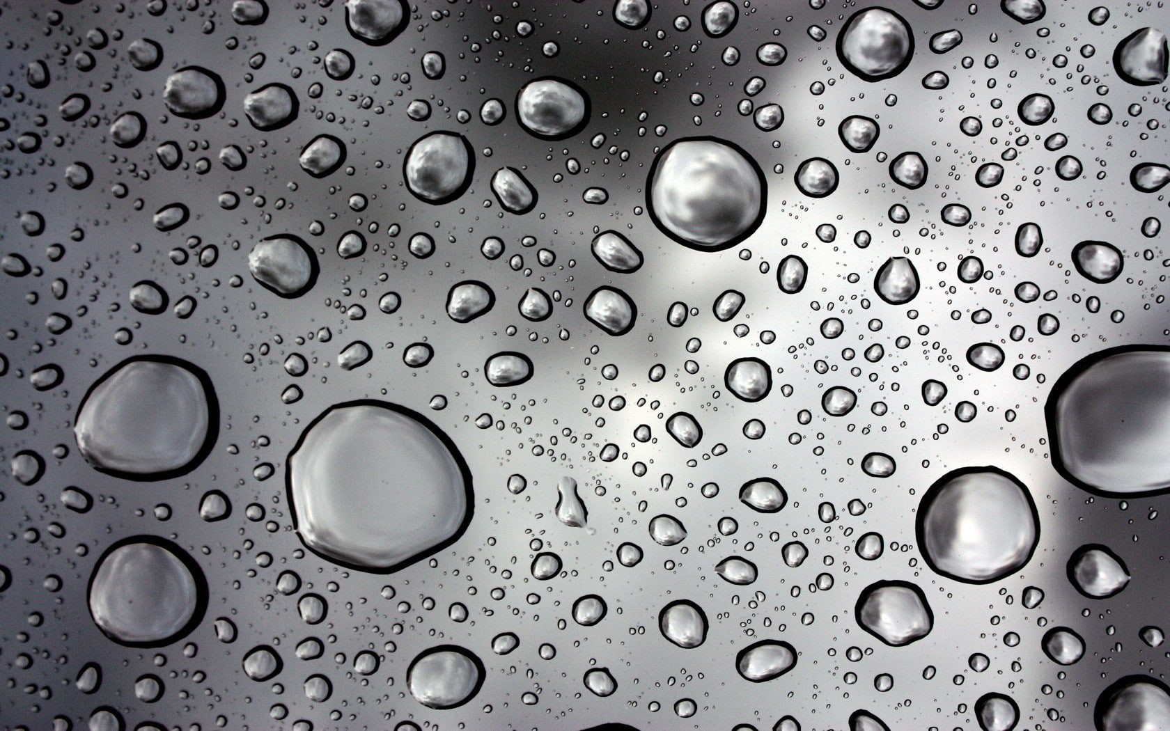 water drops, monochrome, water on glass, 720P, HD Wallpaper