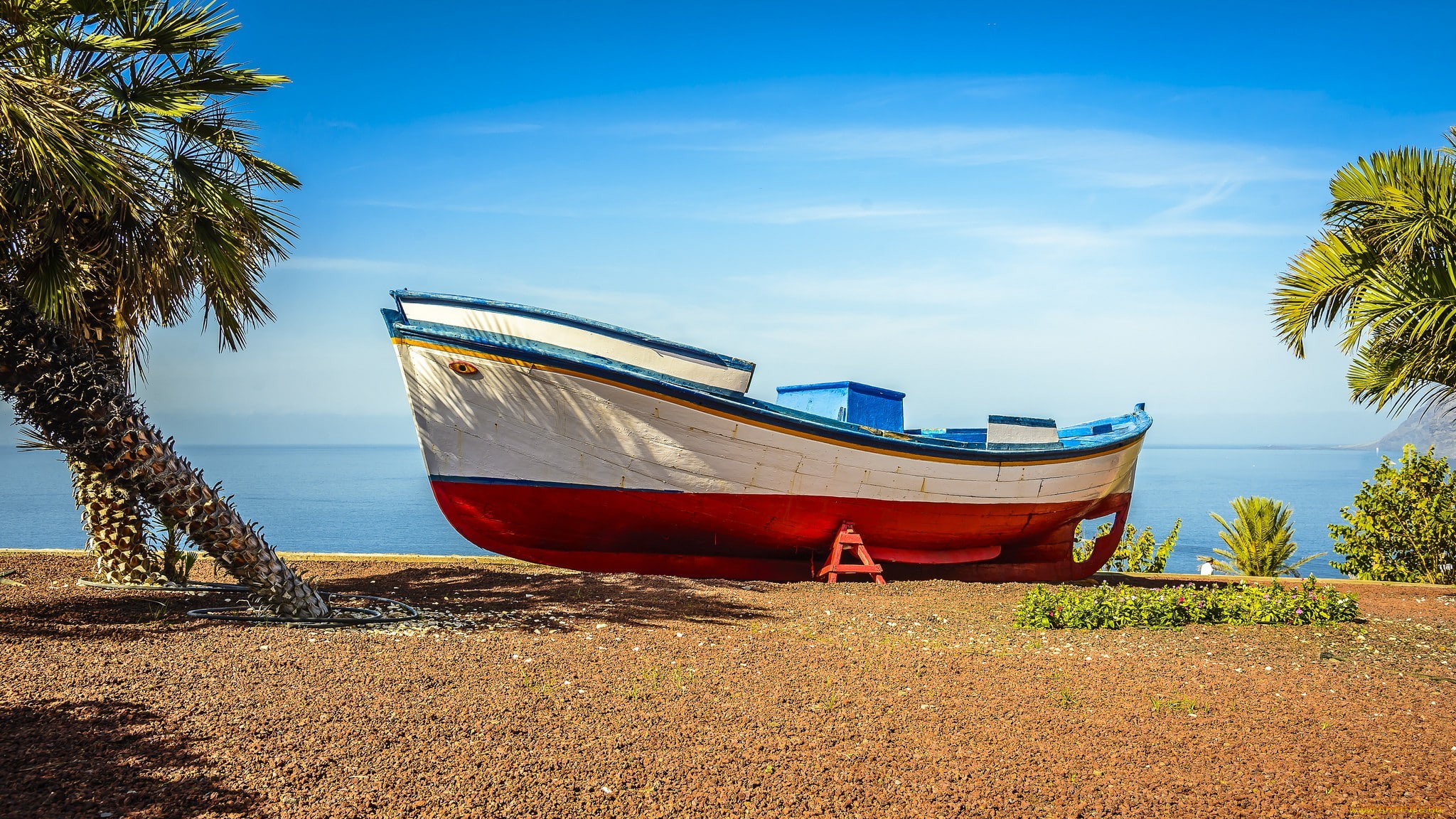 sea, palm trees, tranquility, rowboat, day, tranquil scene, anchored, no people, land, moored, nature, boat, beach, plant, 1080P, nautical vessel, outdoors, HD Wallpaper