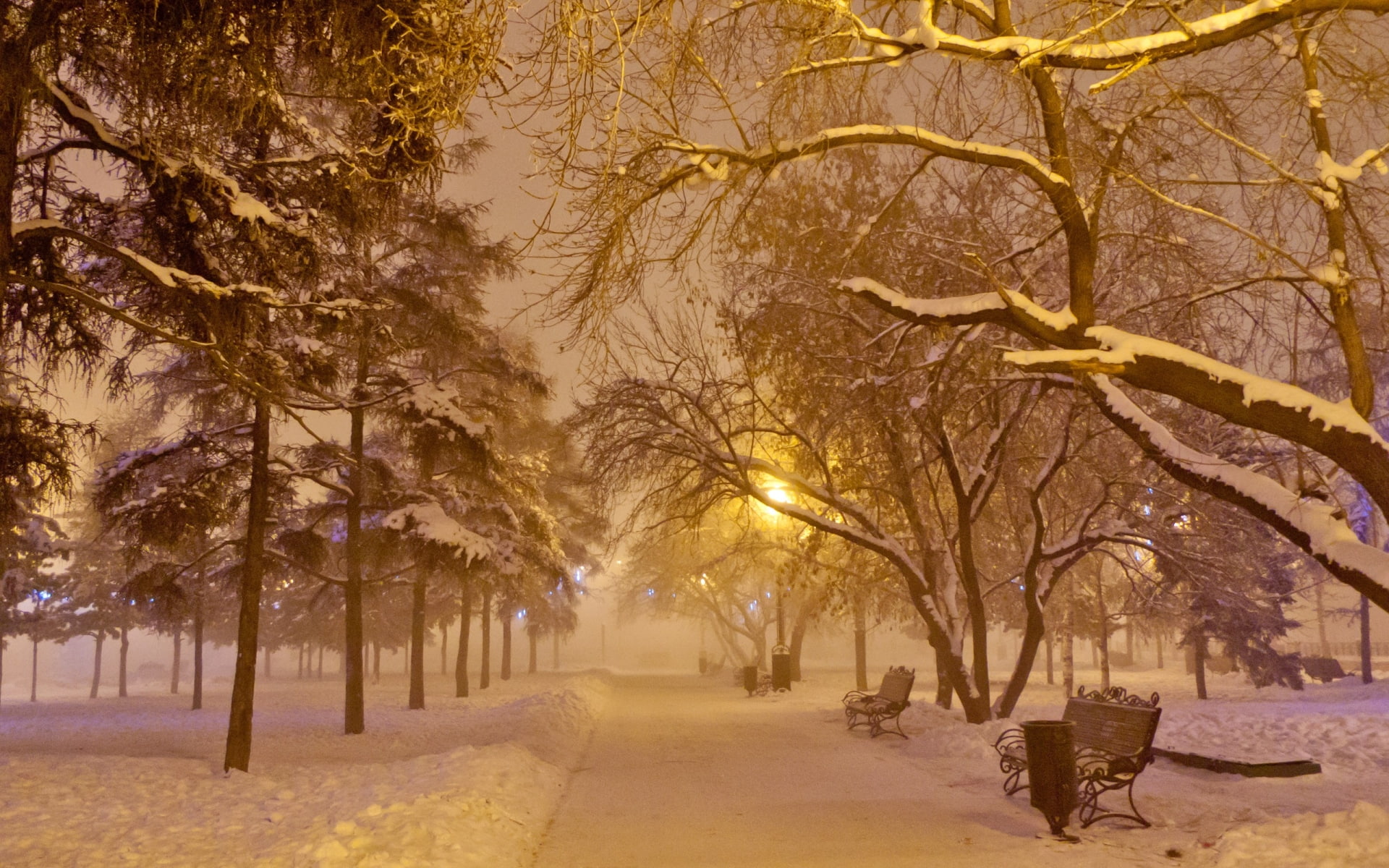 hd, trees, bench, 1080P, park, winter, snow, nature, HD Wallpaper