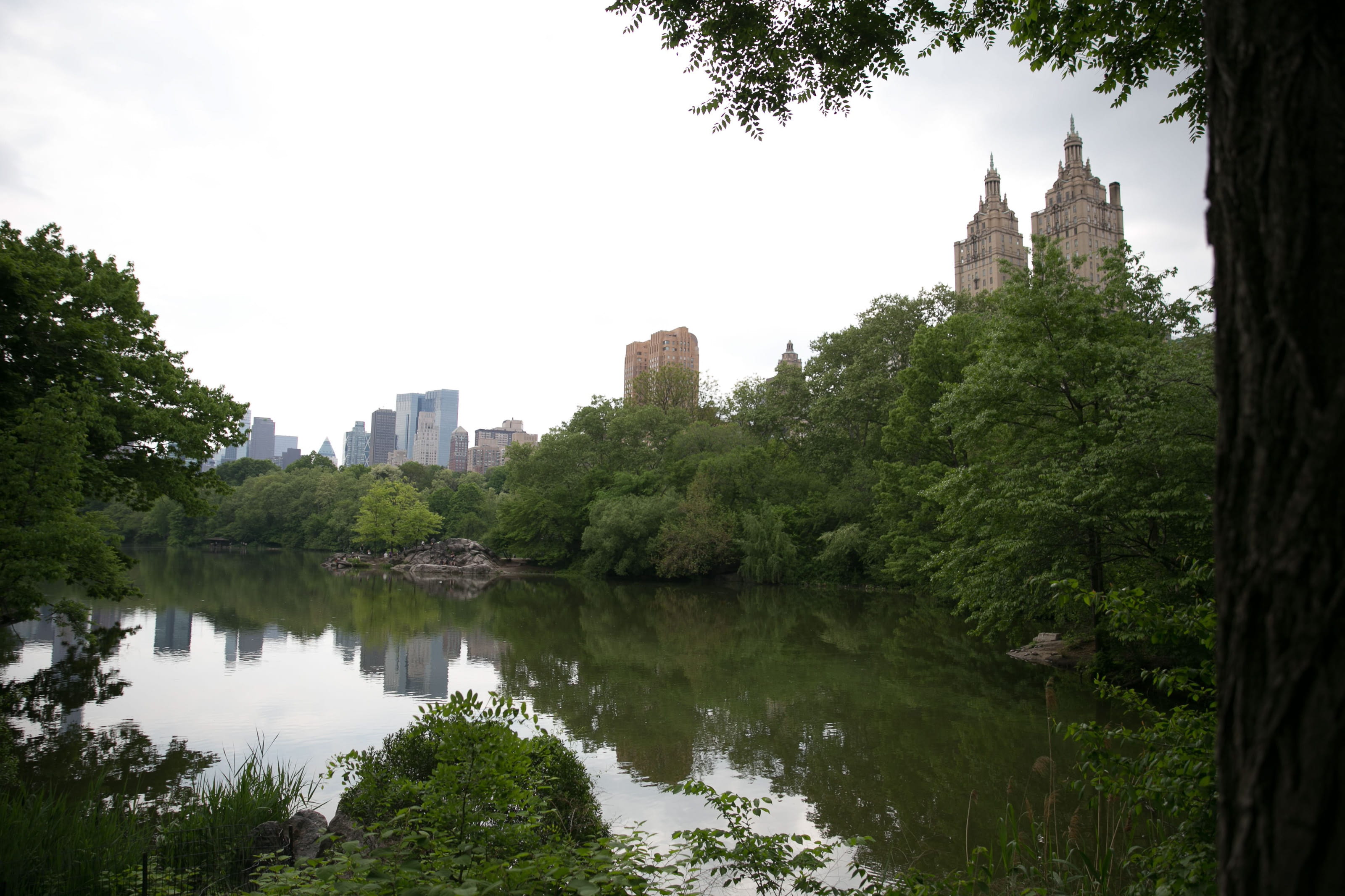 york, new, growth, avenue, exterior, destination, panorama, view, morning, building exterior, central park, tower, panoramic, no people, green color, autumn, HD Wallpaper