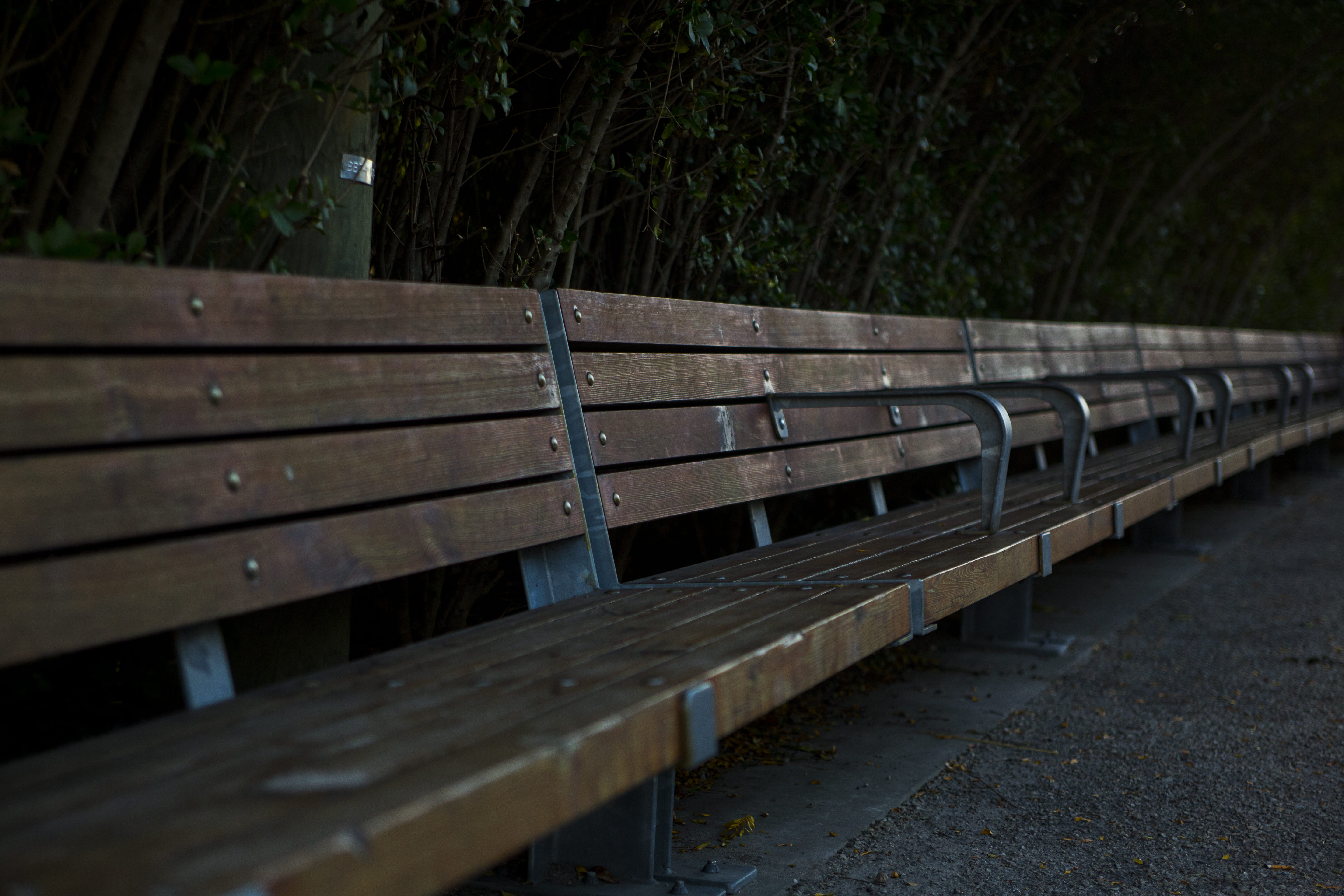 chair, plant, focus on foreground, united states, day, selective focus, in a row, forest, newyork, footpath, absence, no people, repetition, wood - material, HD Wallpaper