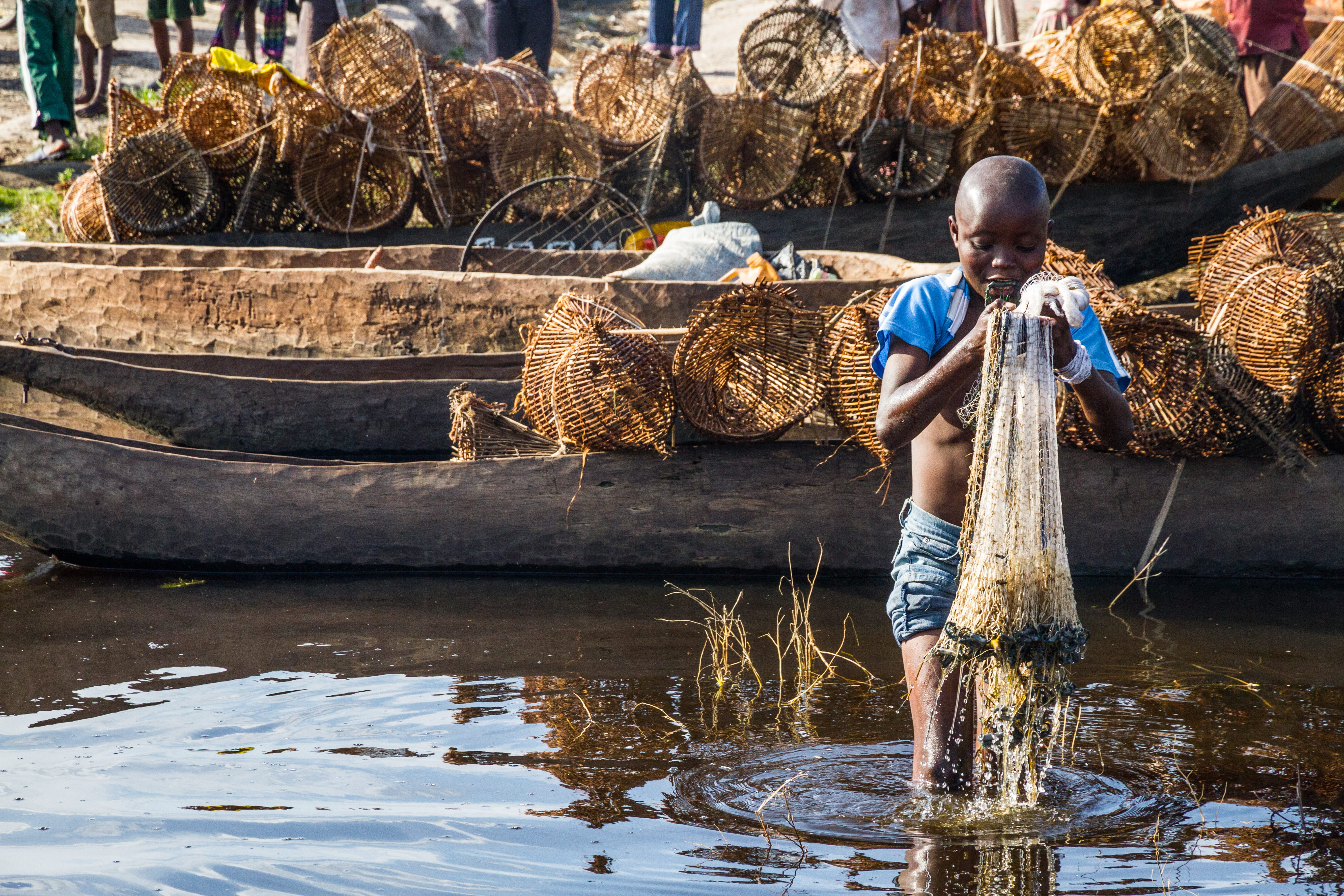 vertebrate, casual clothing, fisherman, congo, river, waterfront, fish, fishing industry, occupation, fishing, fishing net, real people, outdoors, catch of fish, HD Wallpaper