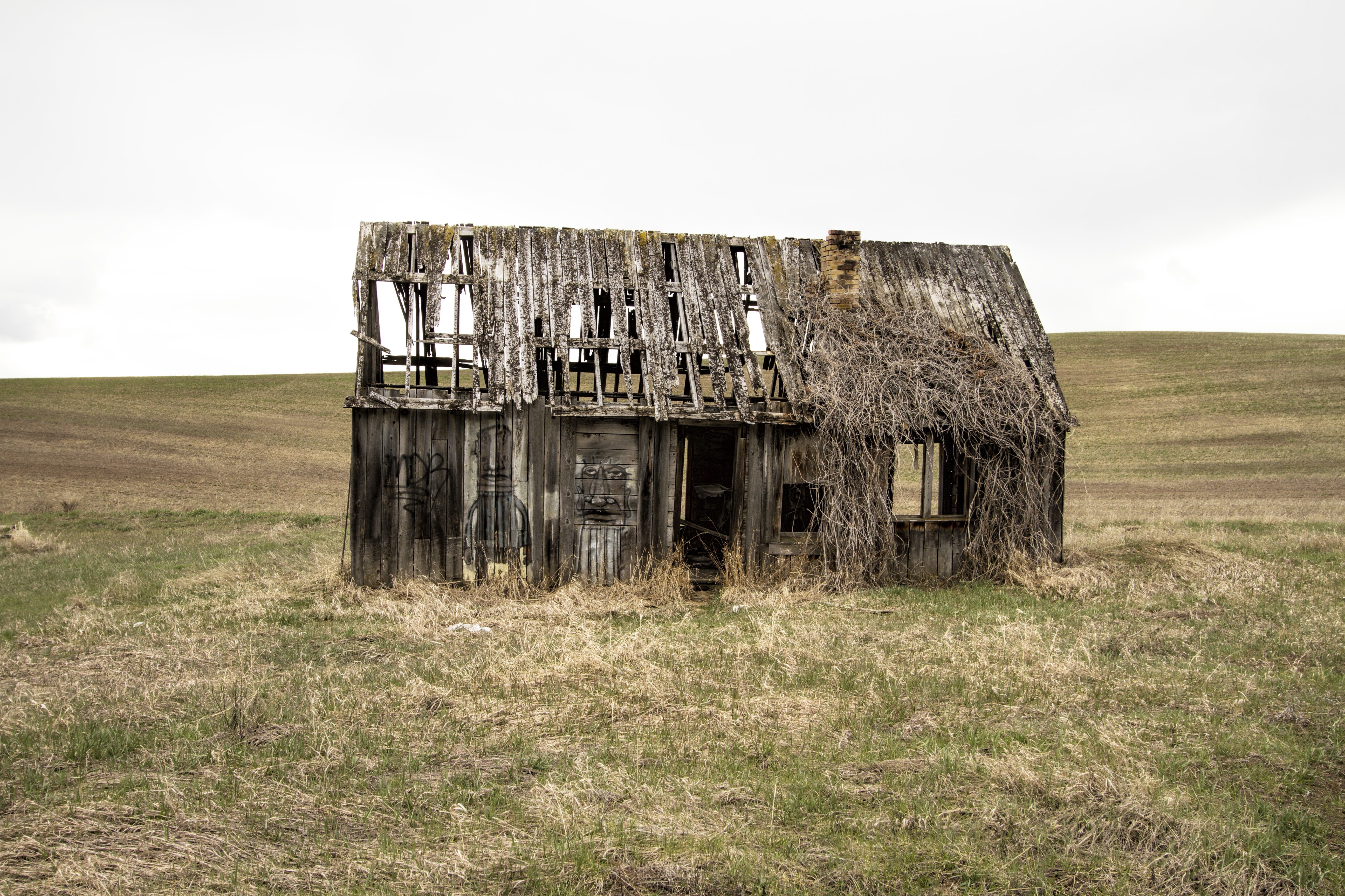 house, rural scene, grass, old, green, structure, home, sky, weathered, graffiti, broken, plant, no people, nature, old farm house, exterior, shabby, obsolete, HD Wallpaper