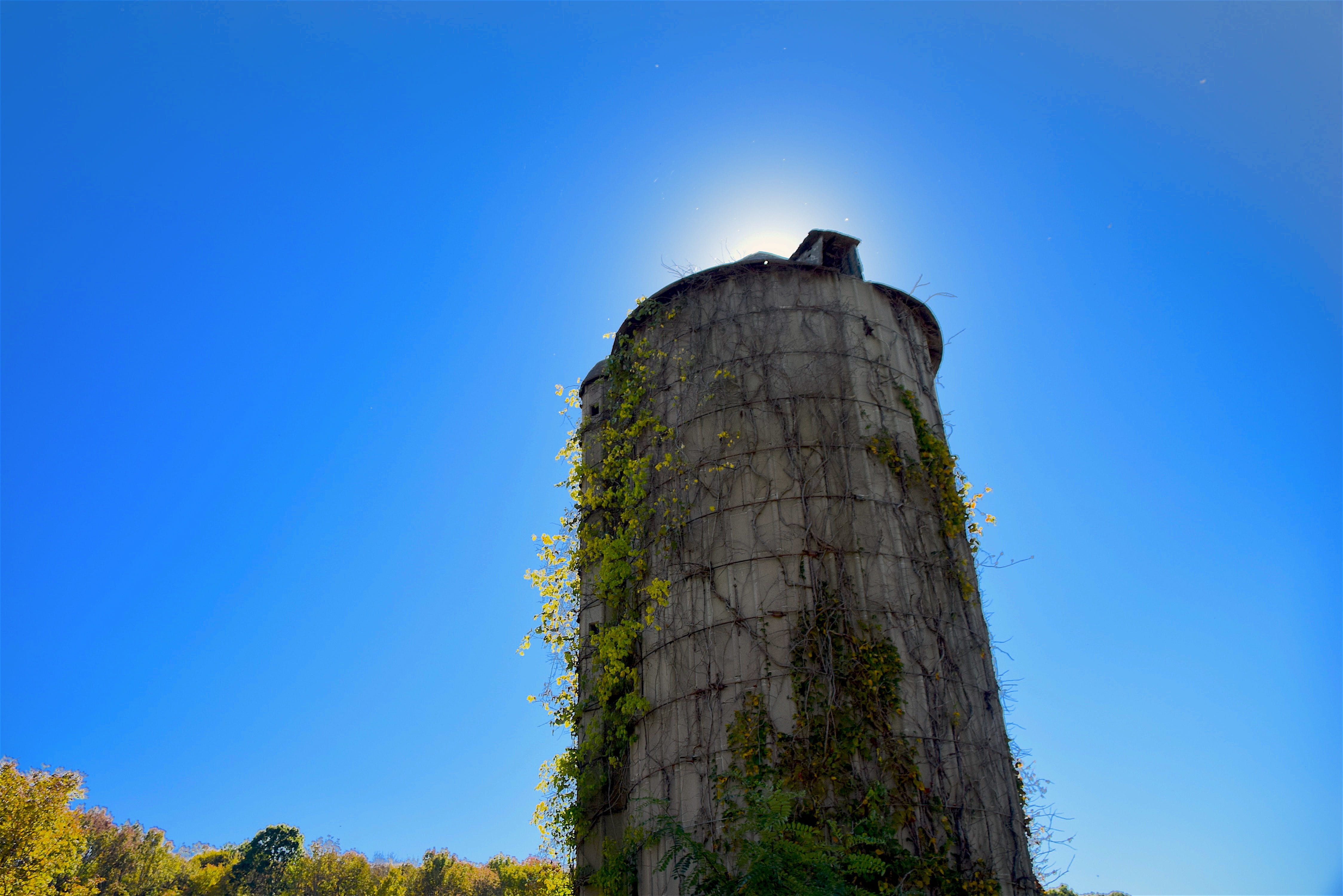 wooden, broken, tower, clear sky, no people, sunlight, obsolete, history, ruined, rural, old, tree, travel destinations, copy space, day, empty, agriculture, HD Wallpaper