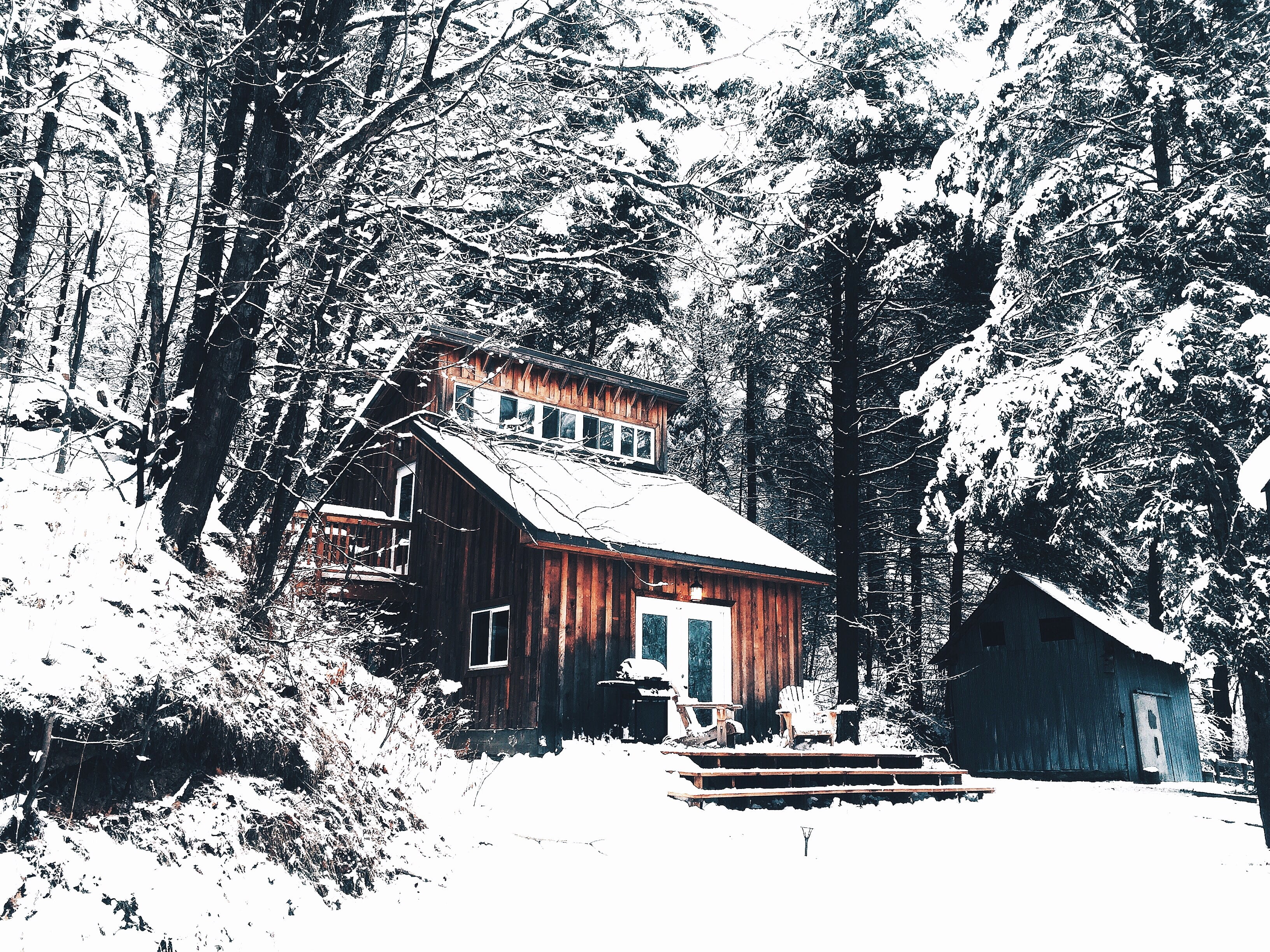 beauty in nature, green, cold temperature, land, white, built structure, nature, day, beside, inter, no people, tree, home, white color, building, snowcapped mountain, HD Wallpaper
