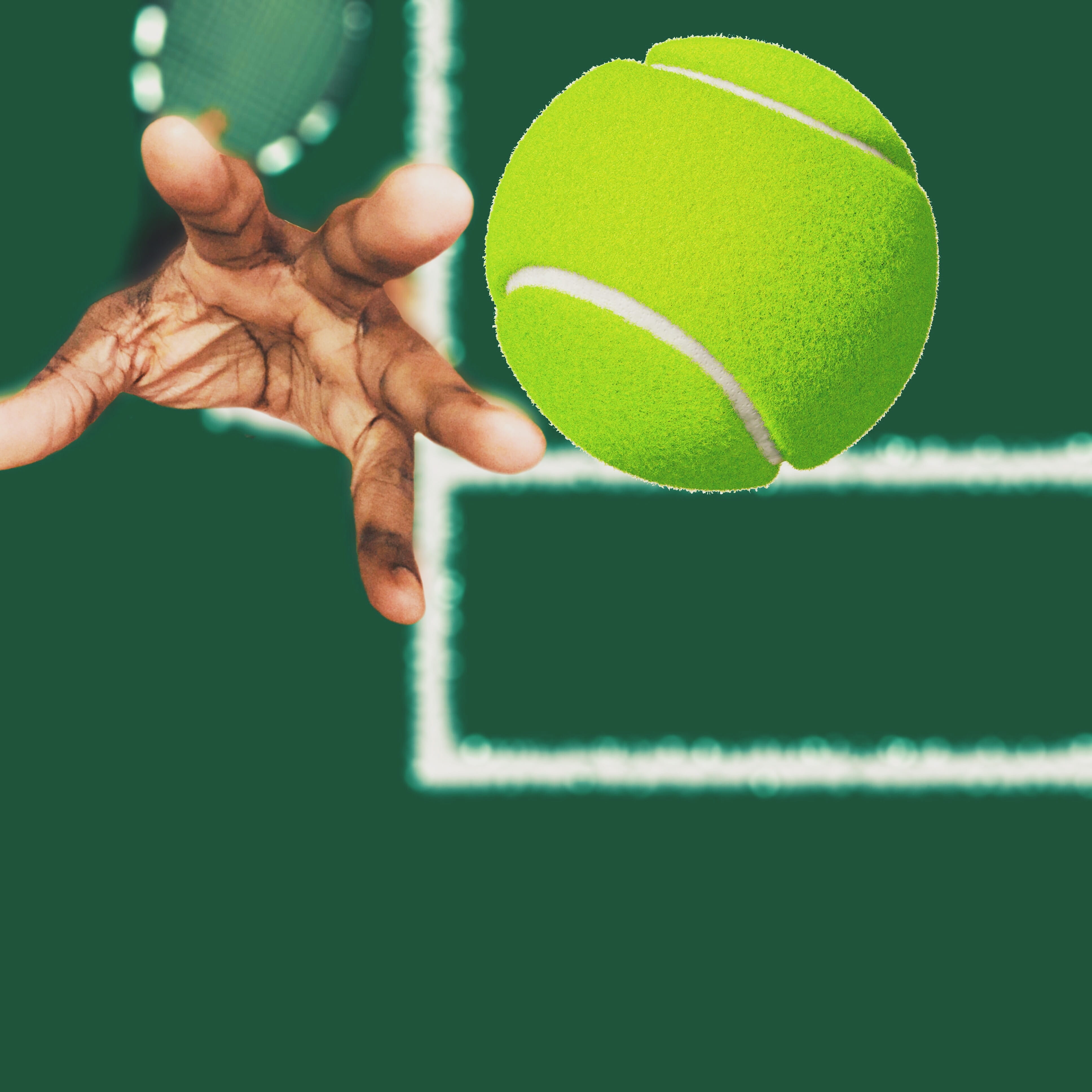 Sport, studio shot, throwing, green, holding, finger, Athlete, court, ball, competition, focus, human finger, one person, photography, body part, Tennis, Phone HD Wallpaper