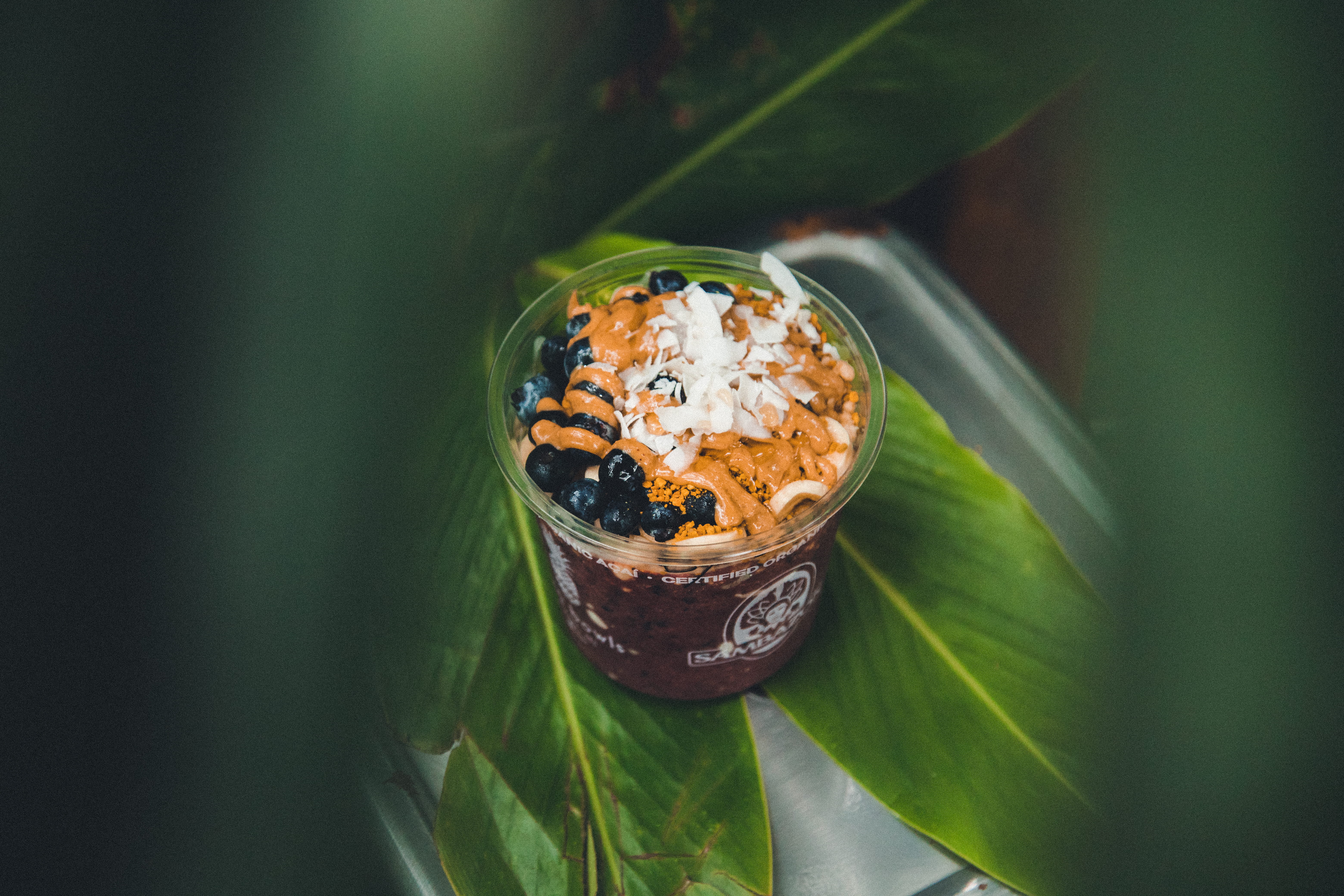 glass, plant part, no people, island, wellbeing, coconut, ready-to-eat, blueberries, eat, acai bowl, bowl, nature, pot, healthy eating, food, fruit, meal, HD Wallpaper