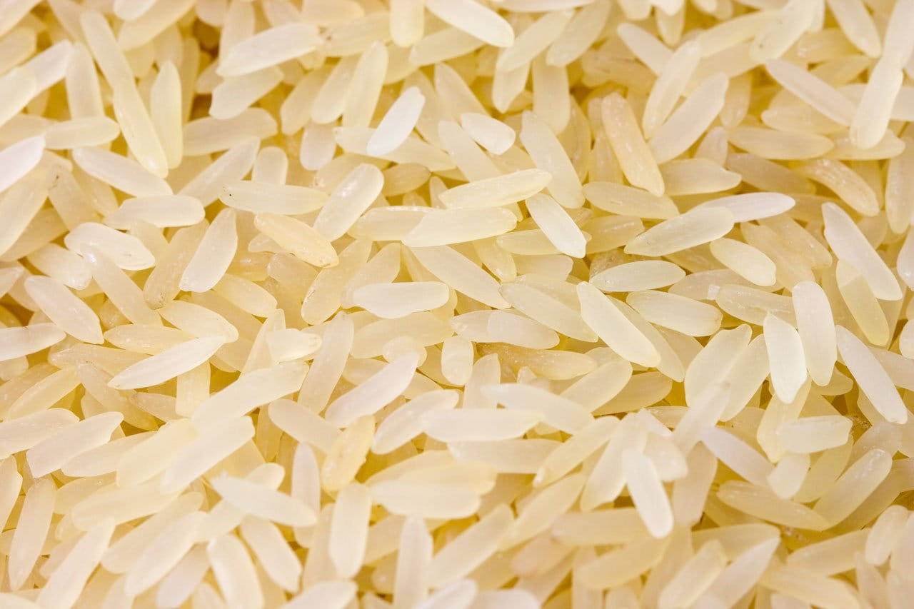 white color, Food, pasta, backgrounds, Grain, no people, wellbeing, meal, close, freshness, corn, Rice, 720P, food And Drink, rice - food staple, studio shot, HD Wallpaper