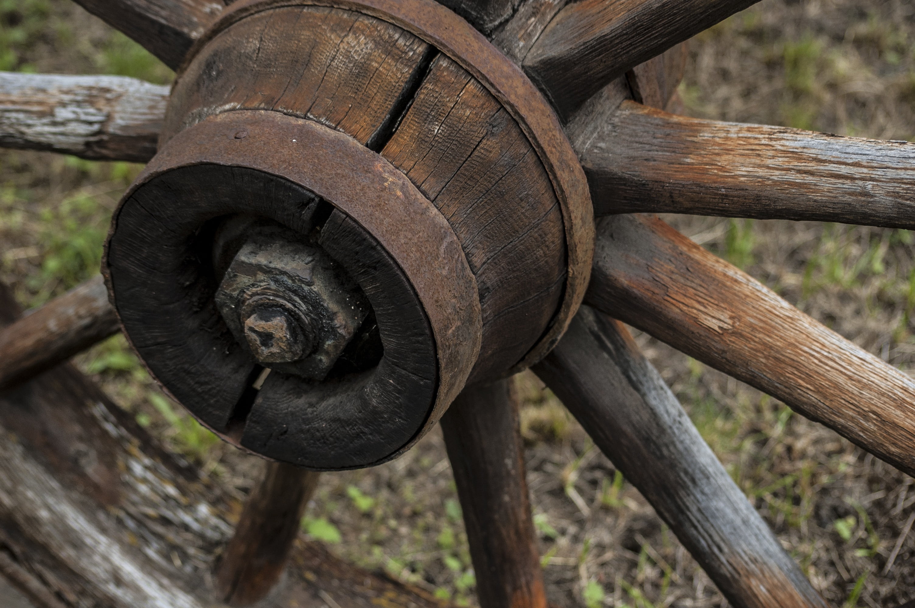 selective, hub, museum, history, animal themes, rusty, plant, nautical, western, control, vessel, nature, circle, steel, travel, tree, cowboy, animal wildlife, HD Wallpaper
