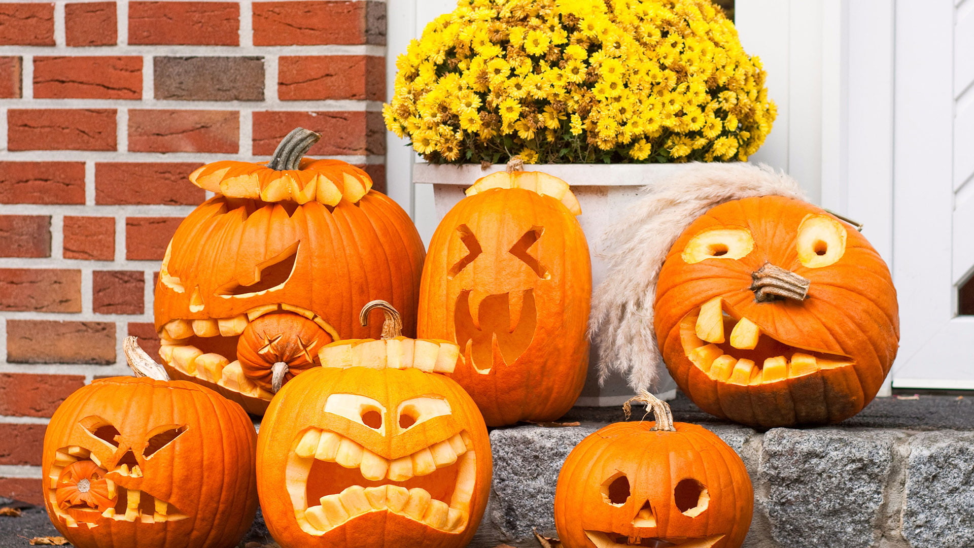 1080P, face, anthropomorphic face, pumpkins, fall, plant, vegetable, seasonal, thanksgiving, holiday - event, craft, october, season, jack o lantern, celebration, HD Wallpaper