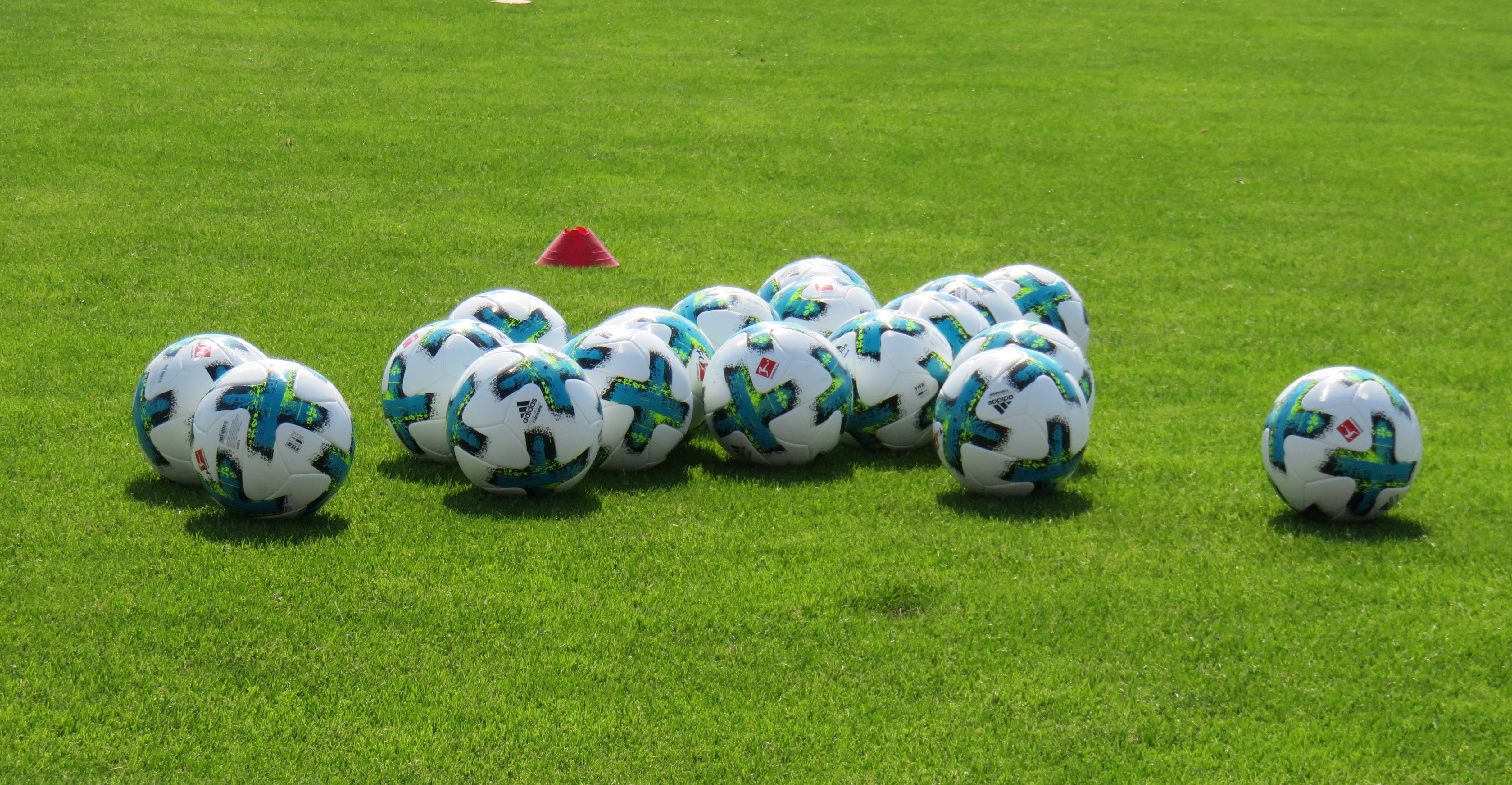 plant, ball, day, field, soccer, in a row, training, no people, creativity, team sport, sports equipment, nature, park - man made space, white color, outdoors, HD Wallpaper