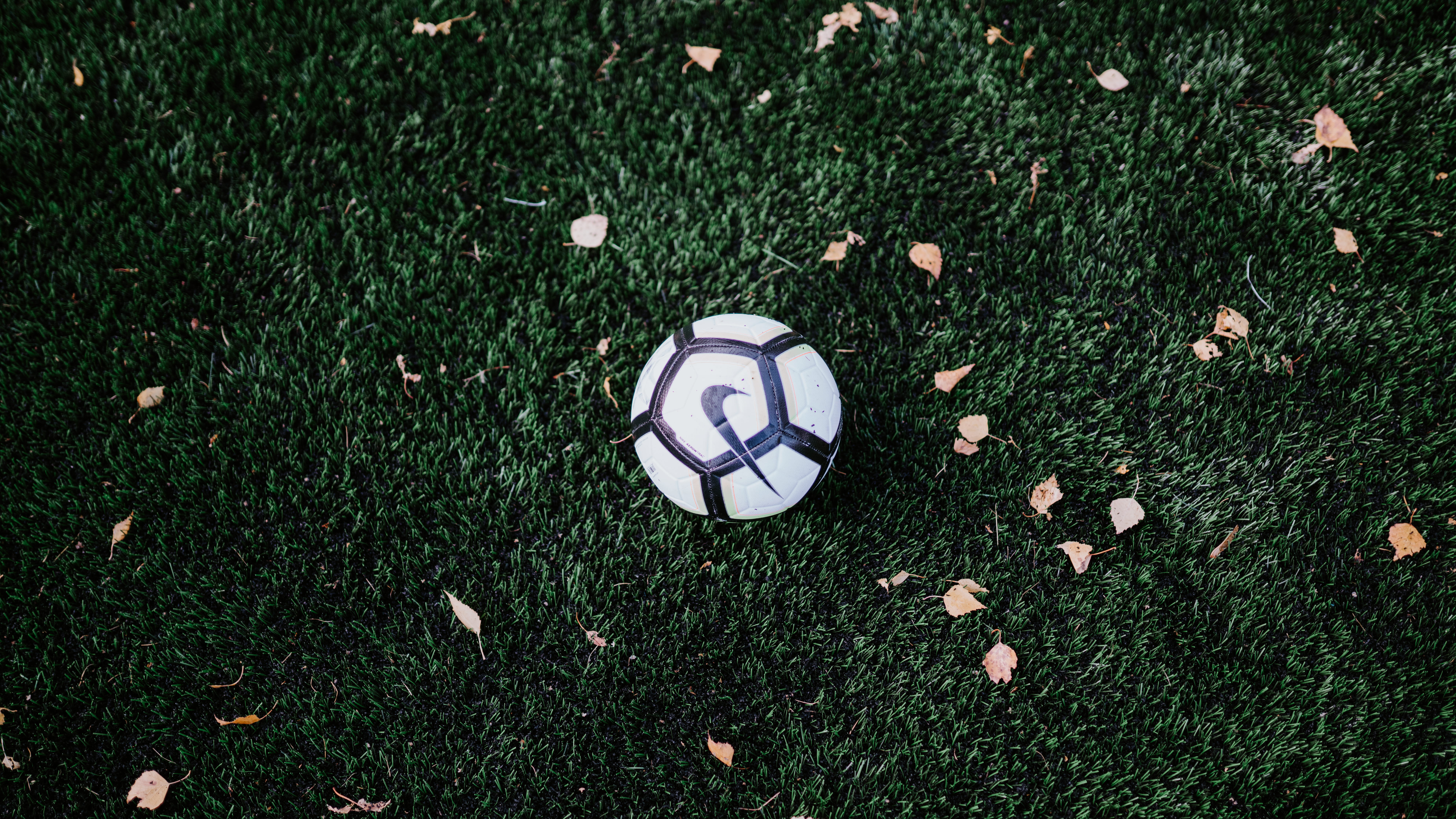 tree, people, team, sphere, high angle view, nature, person, nike, ball, hedge, 8K, yew, soccer field, directly above, land, plant, no people, field, soccer, HD Wallpaper