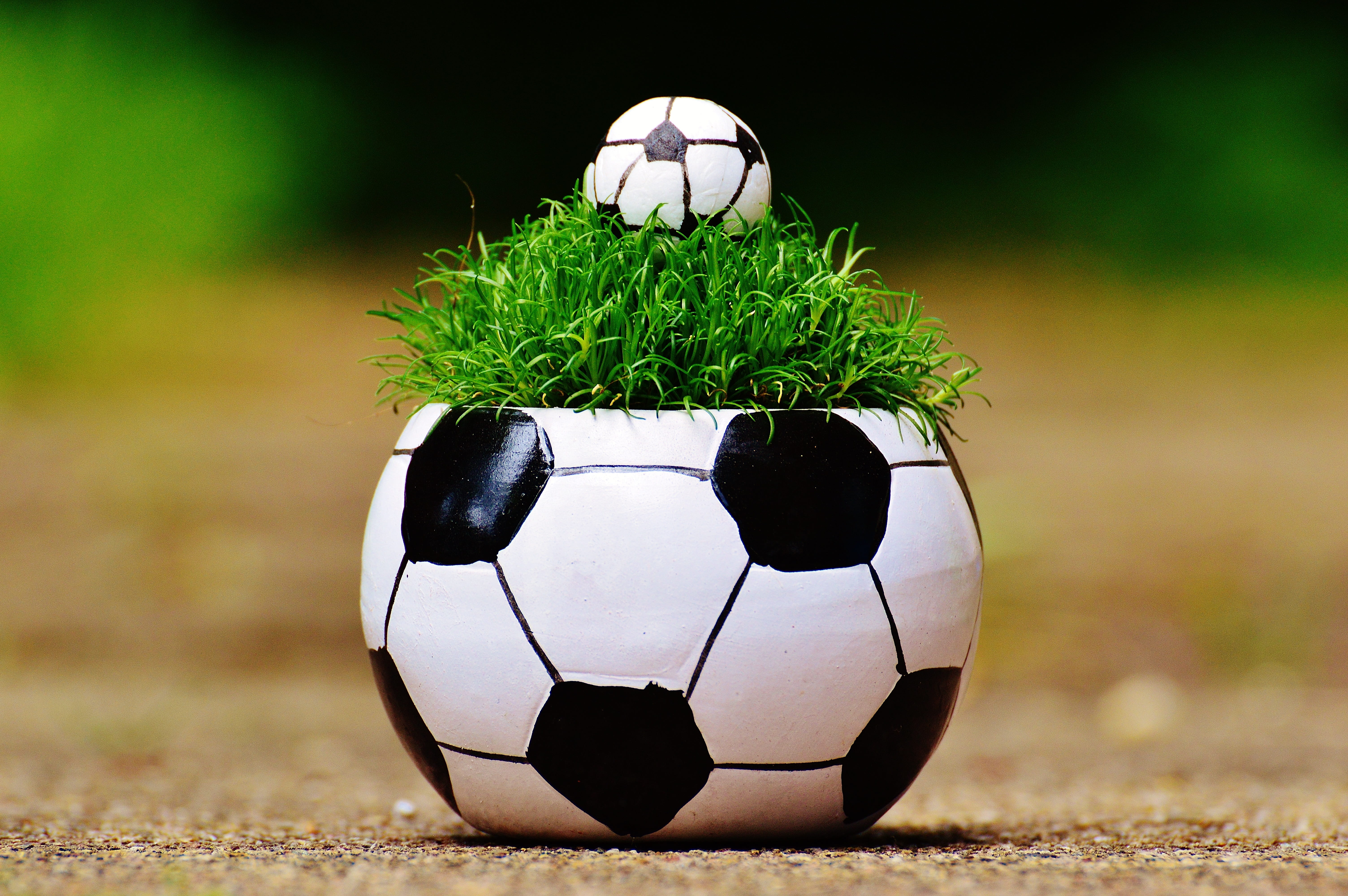 single object, 2016, cute, theme, play, 5K, green color, turf, ball, field, day, plant, white color, black color, sports equipment, sport, soccer ball, HD Wallpaper