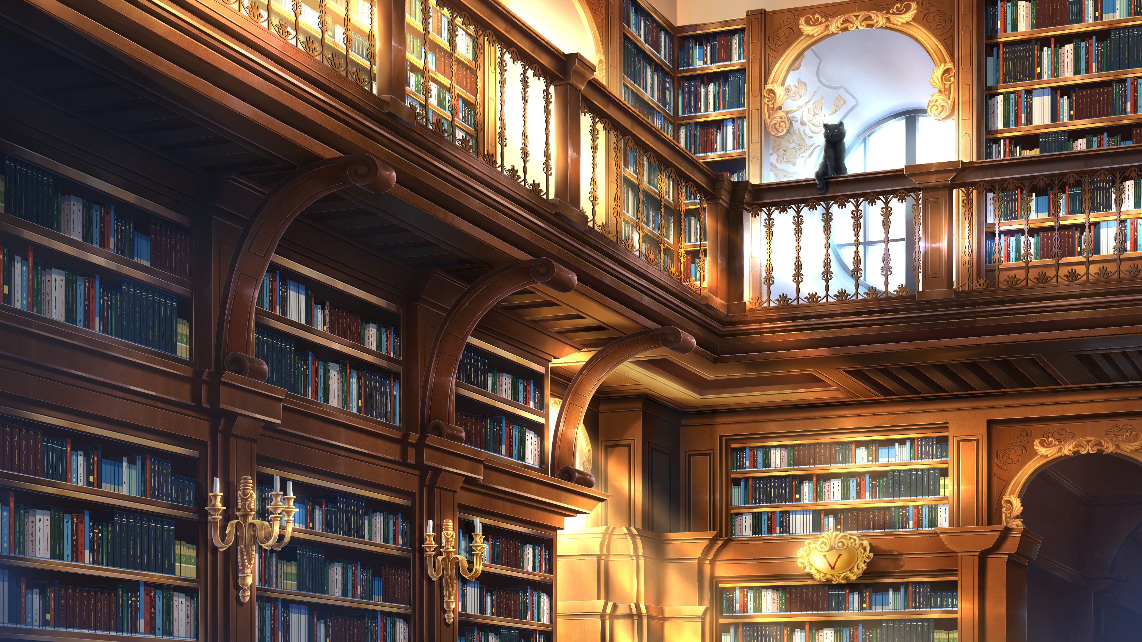 Original, Book, Library, Cat, Anime, 4K, HD Wallpaper