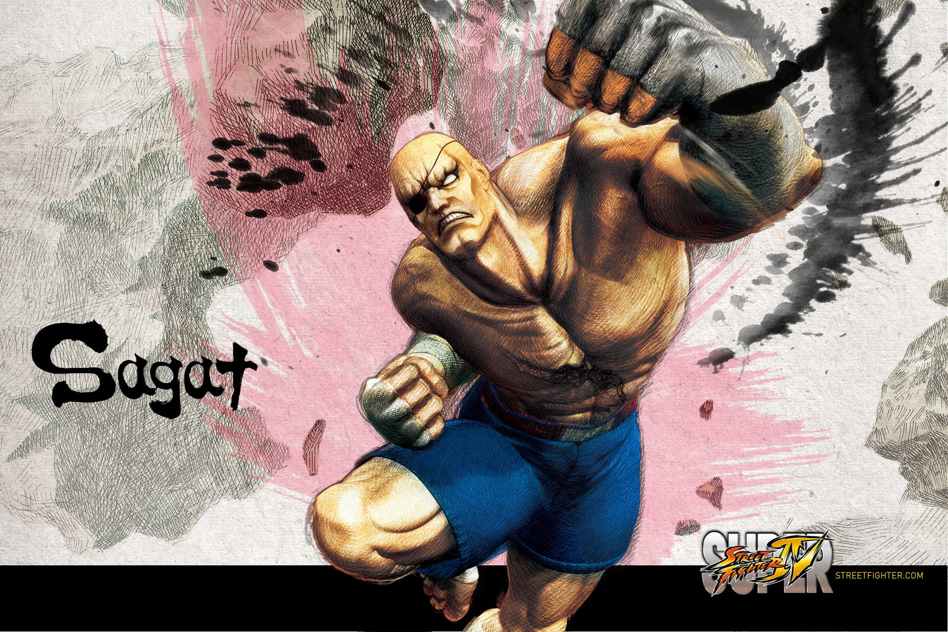 hd, games, Street Fighter IV, fighter, video, 1080P, sagat, art, iv, street, HD Wallpaper
