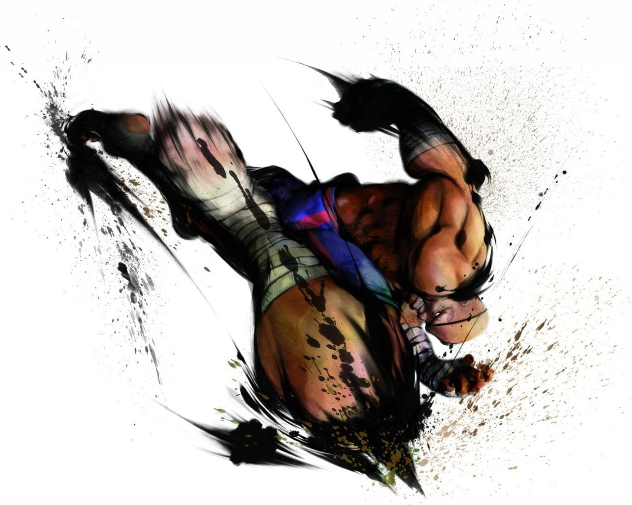 art, video, 720P, fighter, games, sagat, Video Games, hd, street fighter, street, HD Wallpaper
