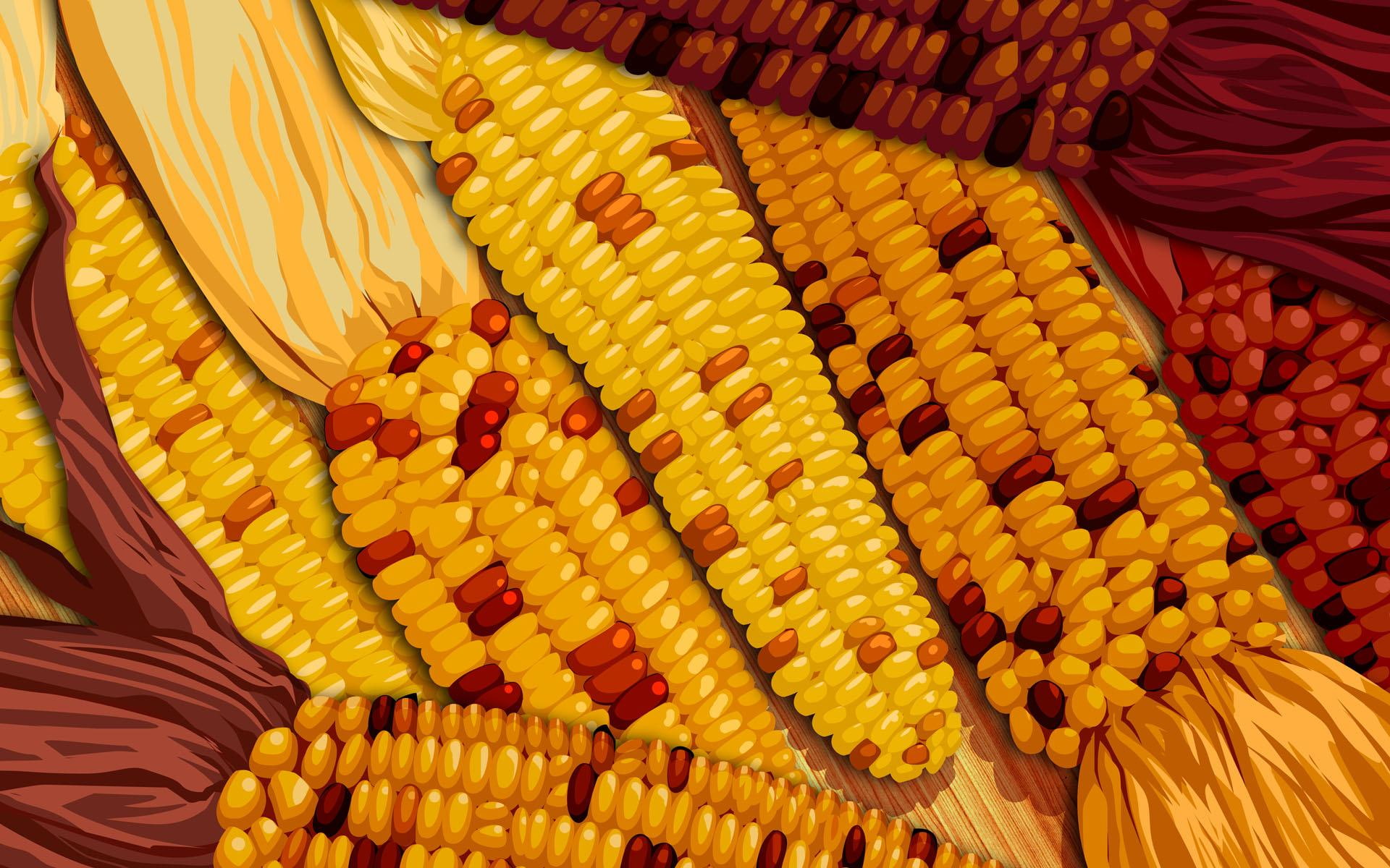 corn, 1080P, 3d and abstract, thanksgiving, harvest, autumn, fall, HD Wallpaper