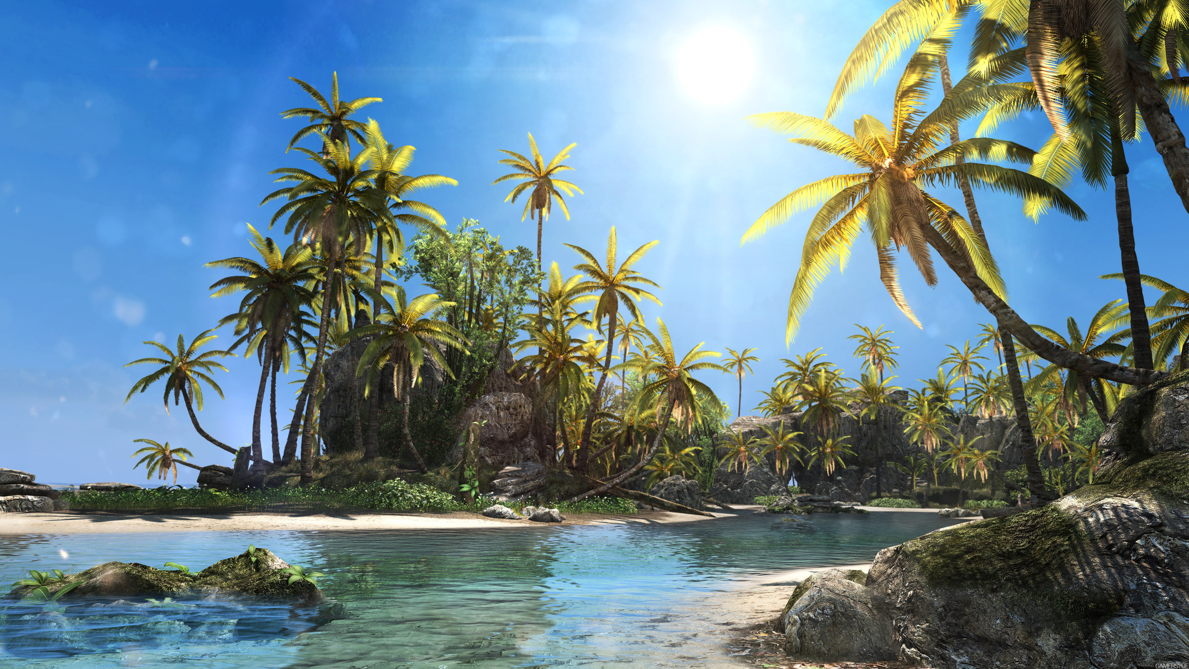 4K, Assassins Creed IV, palm trees, island, beach, Black Flag, the sun, HD Wallpaper