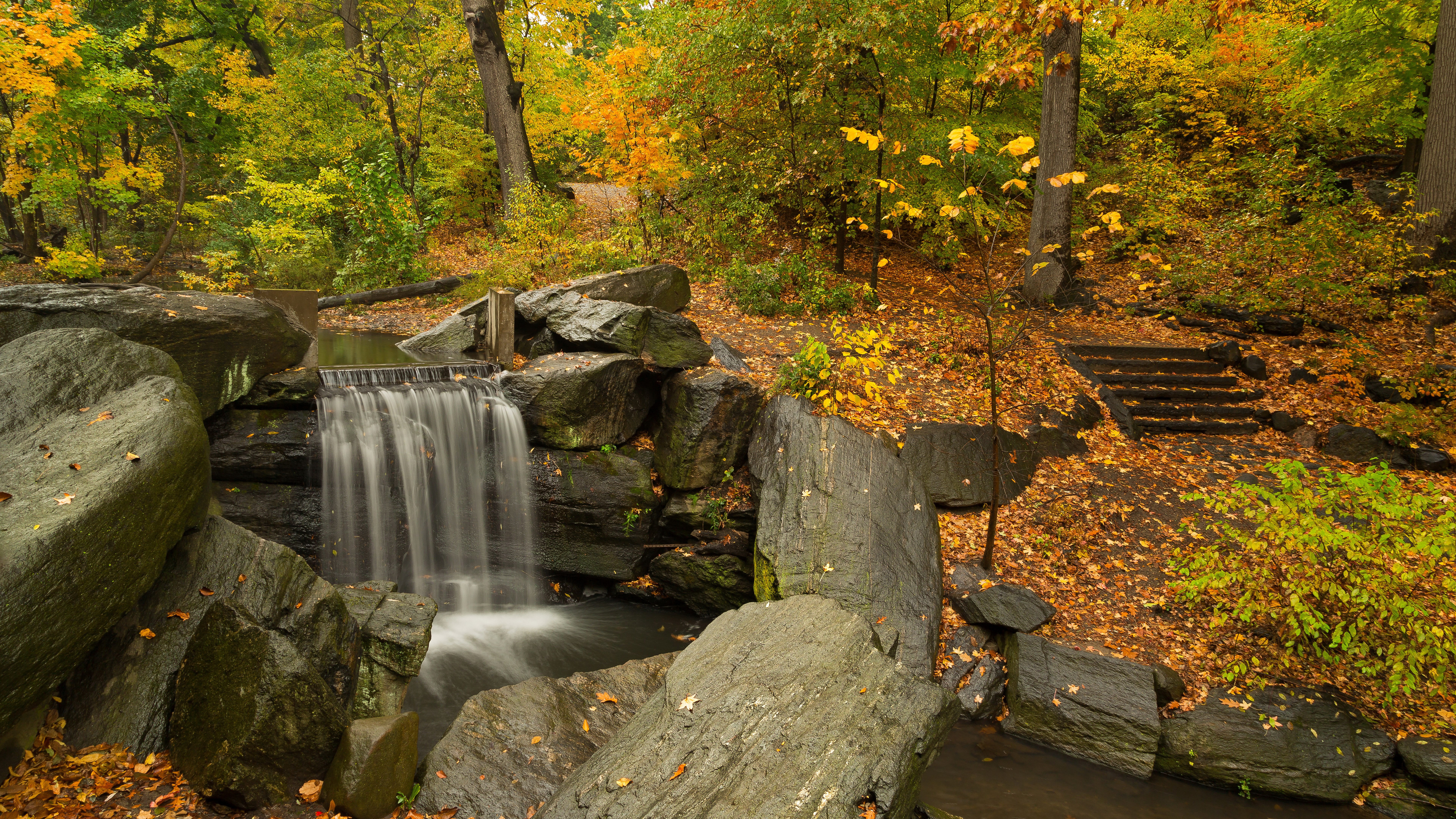non-urban scene, change, 8k quality, beauty in nature, solid, rock - object, long exposure, forest, plant, tree, growth, nature, flowing water, motion, HD Wallpaper