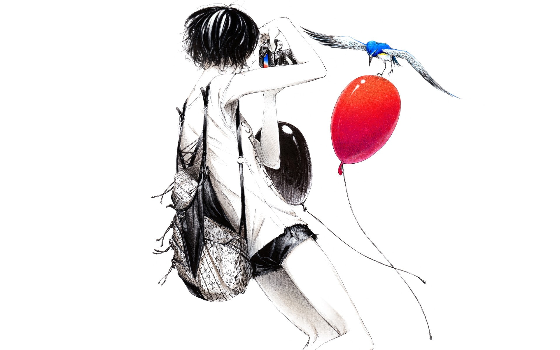 digital/artwork, photographer, 1080P, balloon, sketch, drawing, hd, camera, white, bird, HD Wallpaper