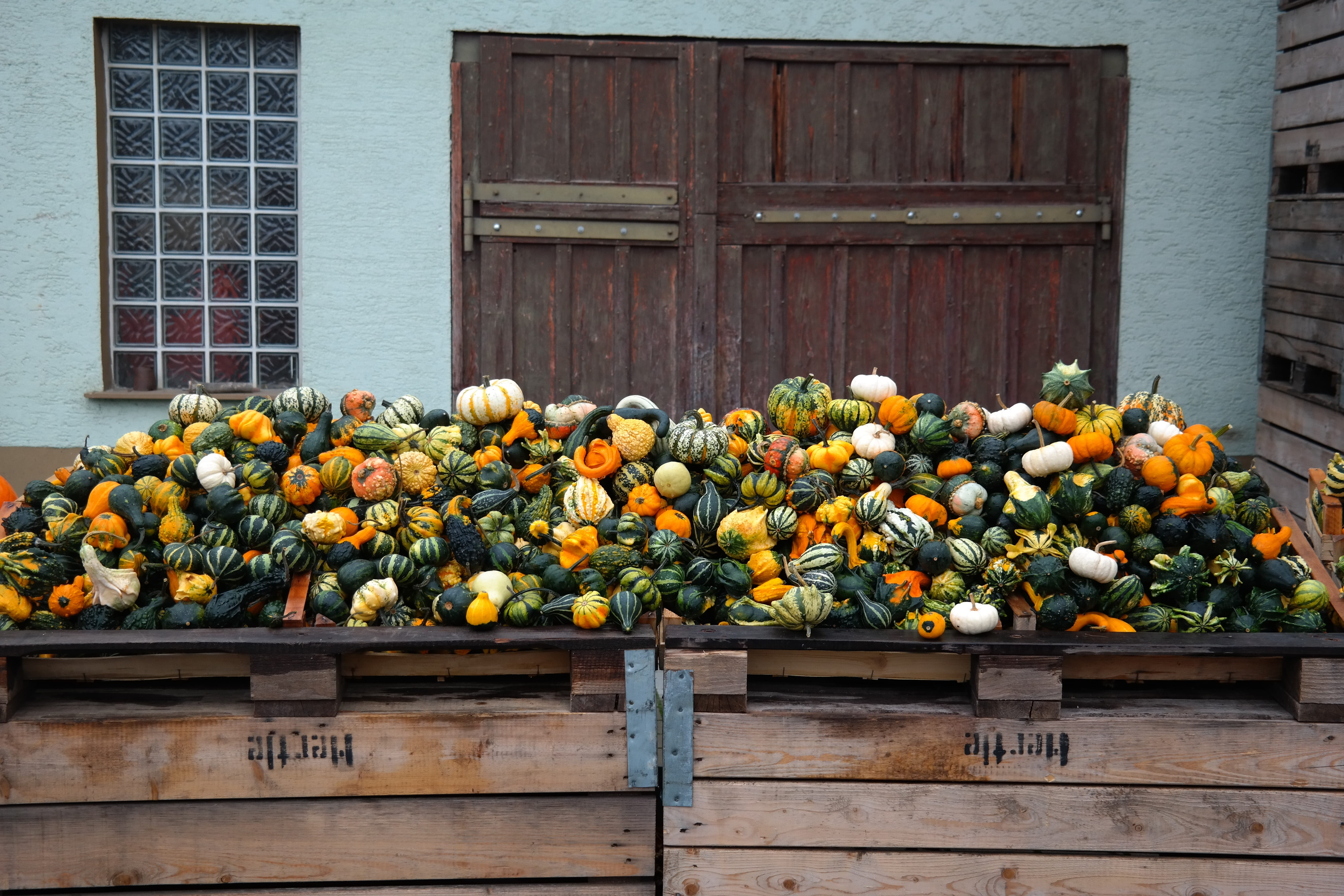 outdoors, colorful, no people, wooden, building, sale, orange - fruit, assorted, building exterior, house, white, pallets, flying saucer, autumn, built structure, HD Wallpaper