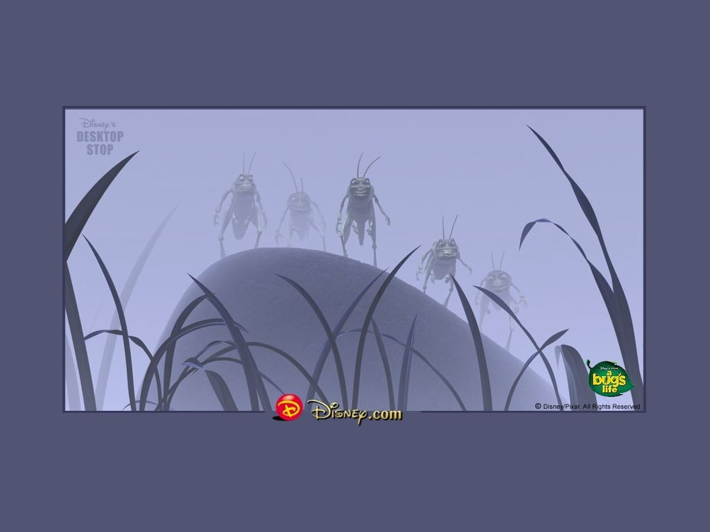 Disney Company, life, company, animals, bugs, hd, x, 480P, disney, Cartoons, art, HD Wallpaper