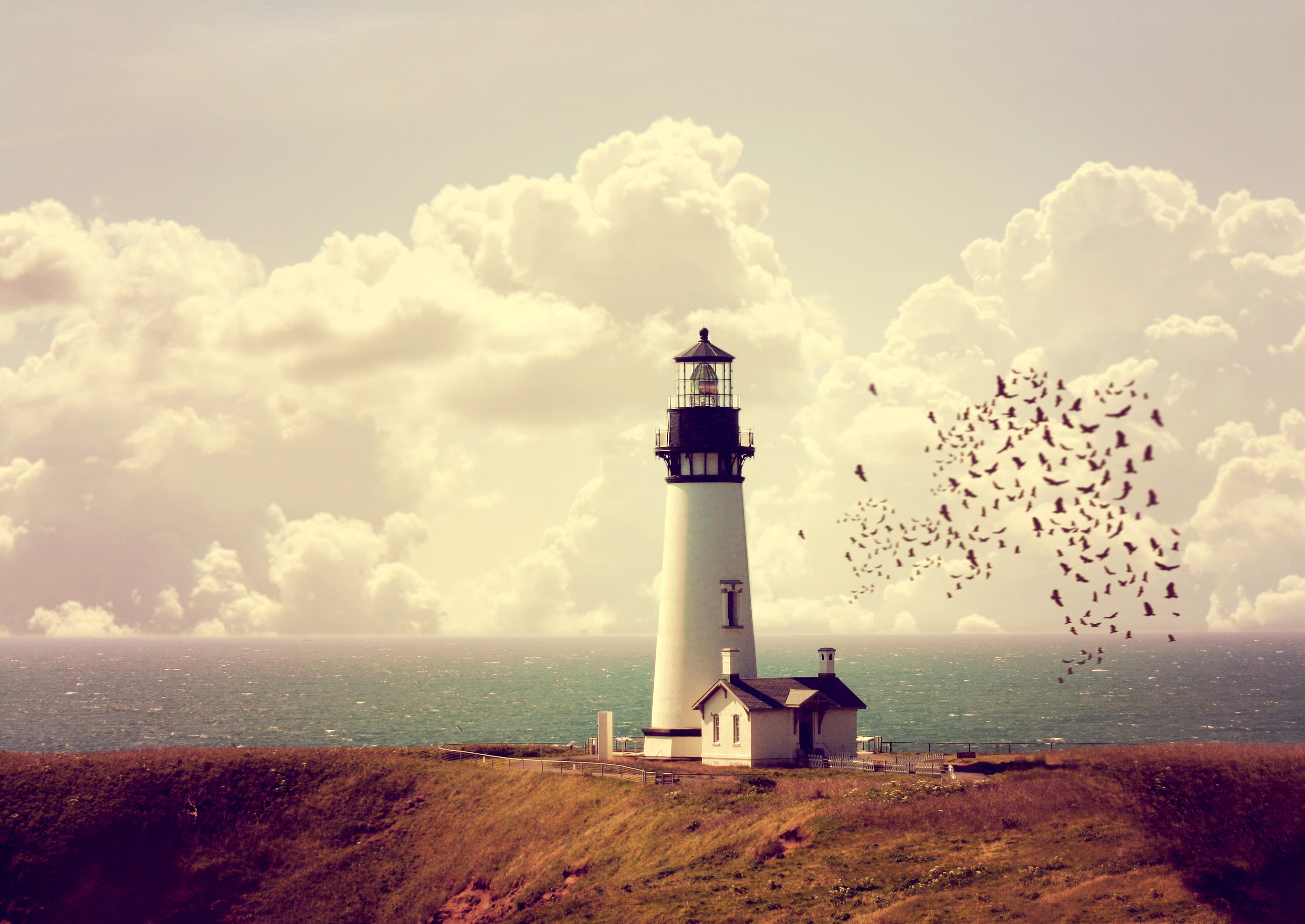 lighthouse, birds, 4K, HD Wallpaper