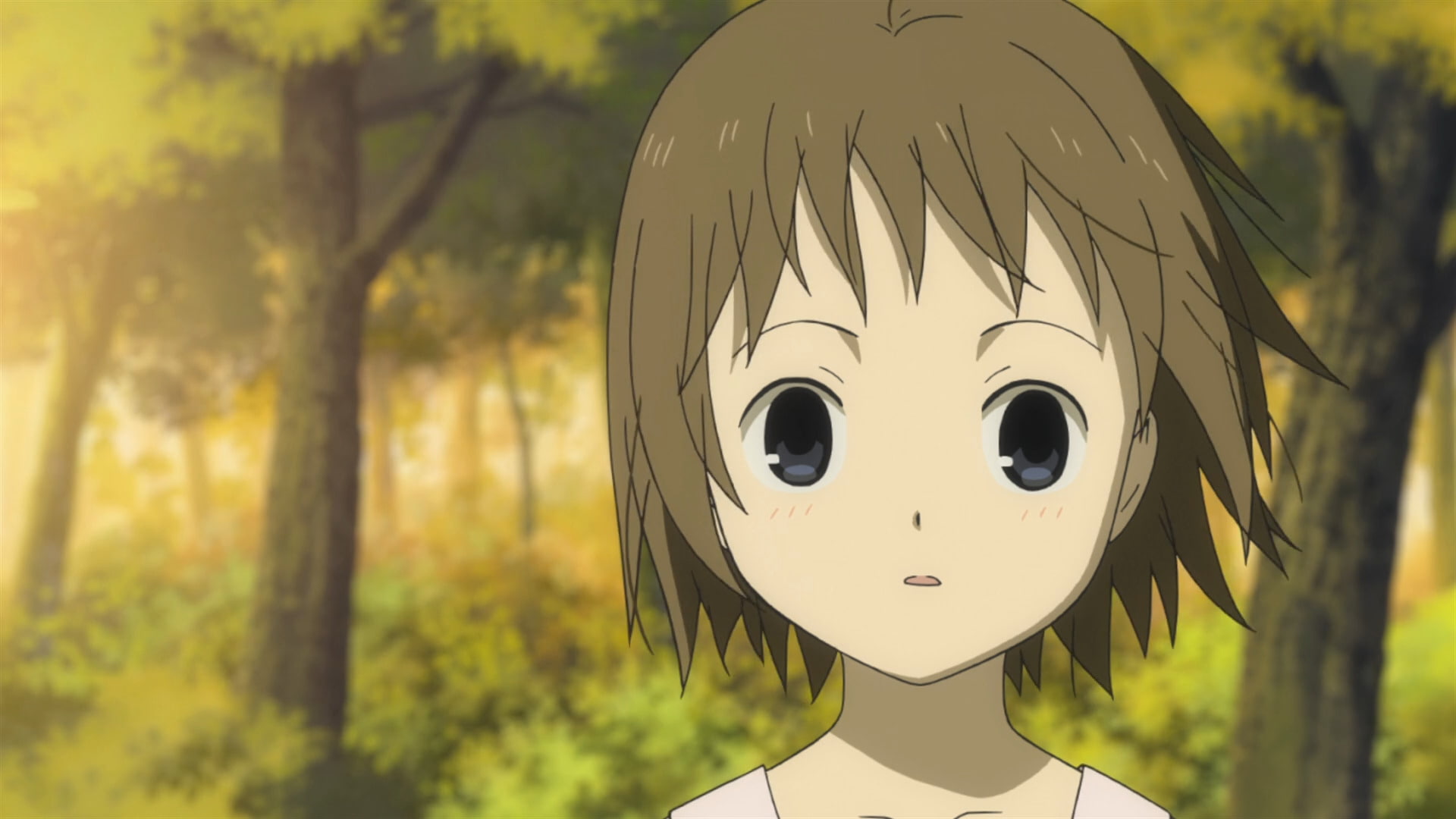 1080P, Movie, Into the Forest of Fireflies Light, Hotarubi No Mori E, HD Wallpaper