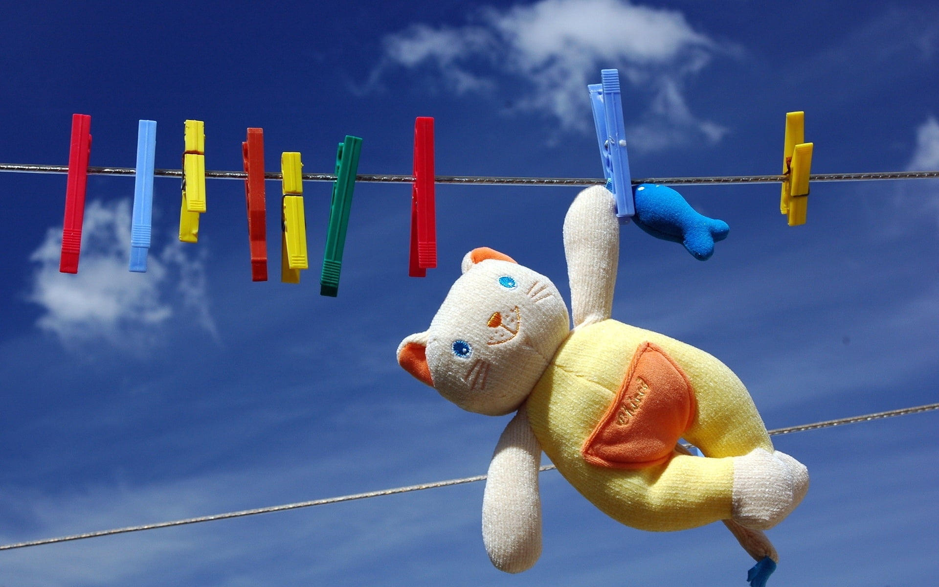blue, cloud - sky, creativity, nature, rope, plush, animal representation, animal, day, backgrounds, sky, dry, 1080P, clothespin, teddy bear, summer, multi Colored, HD Wallpaper