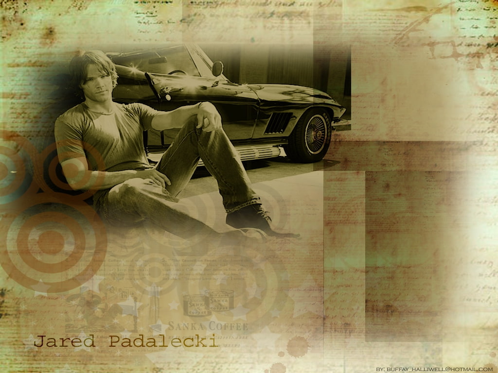 hd, art, jared padalecki, jared, people, padalecki, Supernatural, Sam, 480P, actors, Hot, HD Wallpaper