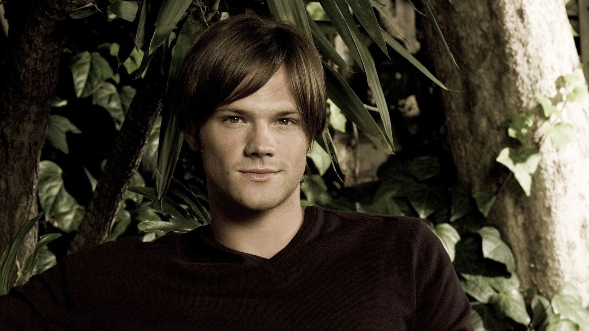 padalecki, nature, front view, hairstyle, plant, real people, looking at camera, headshot, Jared Padalecki, tree trunk, leisure activity, casual clothing, HD Wallpaper