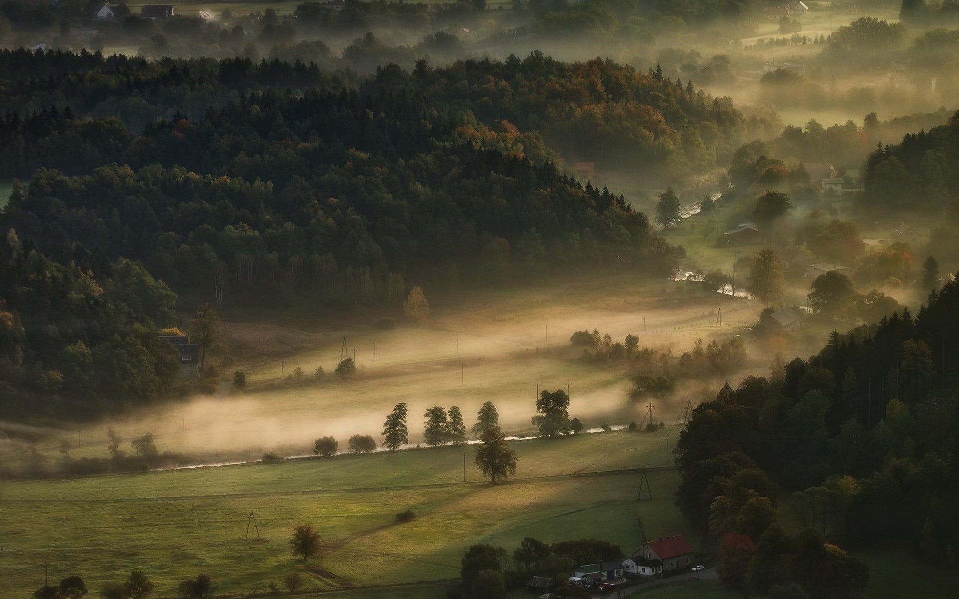 view, mist, day, 1080P, nature, farm, environment, green color, no people, scenics - nature, trees, valley, land, landscape, morning, idyllic, sky, tree, HD Wallpaper