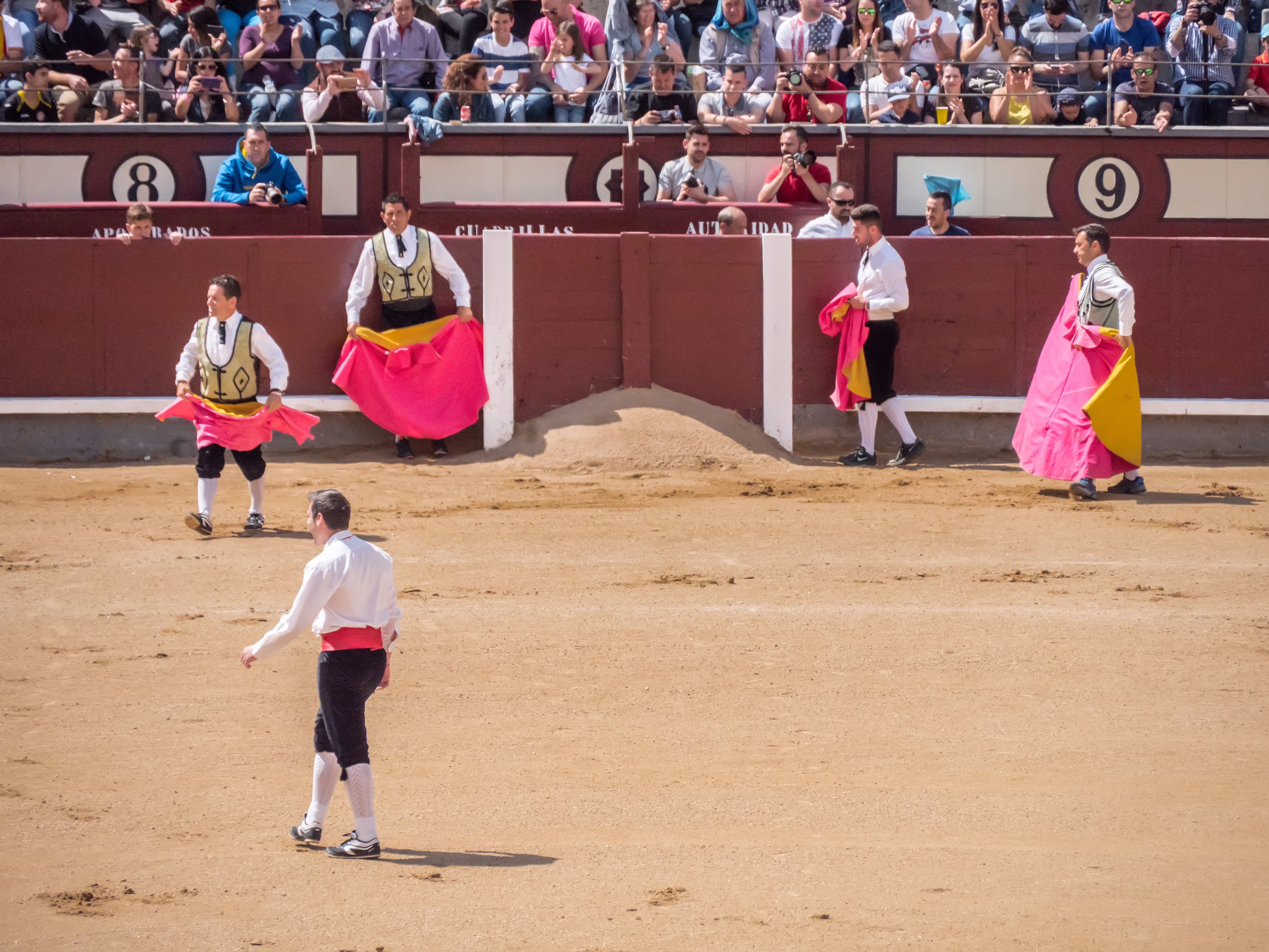 bull riding, large group of people, real people, plaza toros, childhood, men, risk, males, bullfighters, dangerous, people, spectator, jump, leisure activity, HD Wallpaper