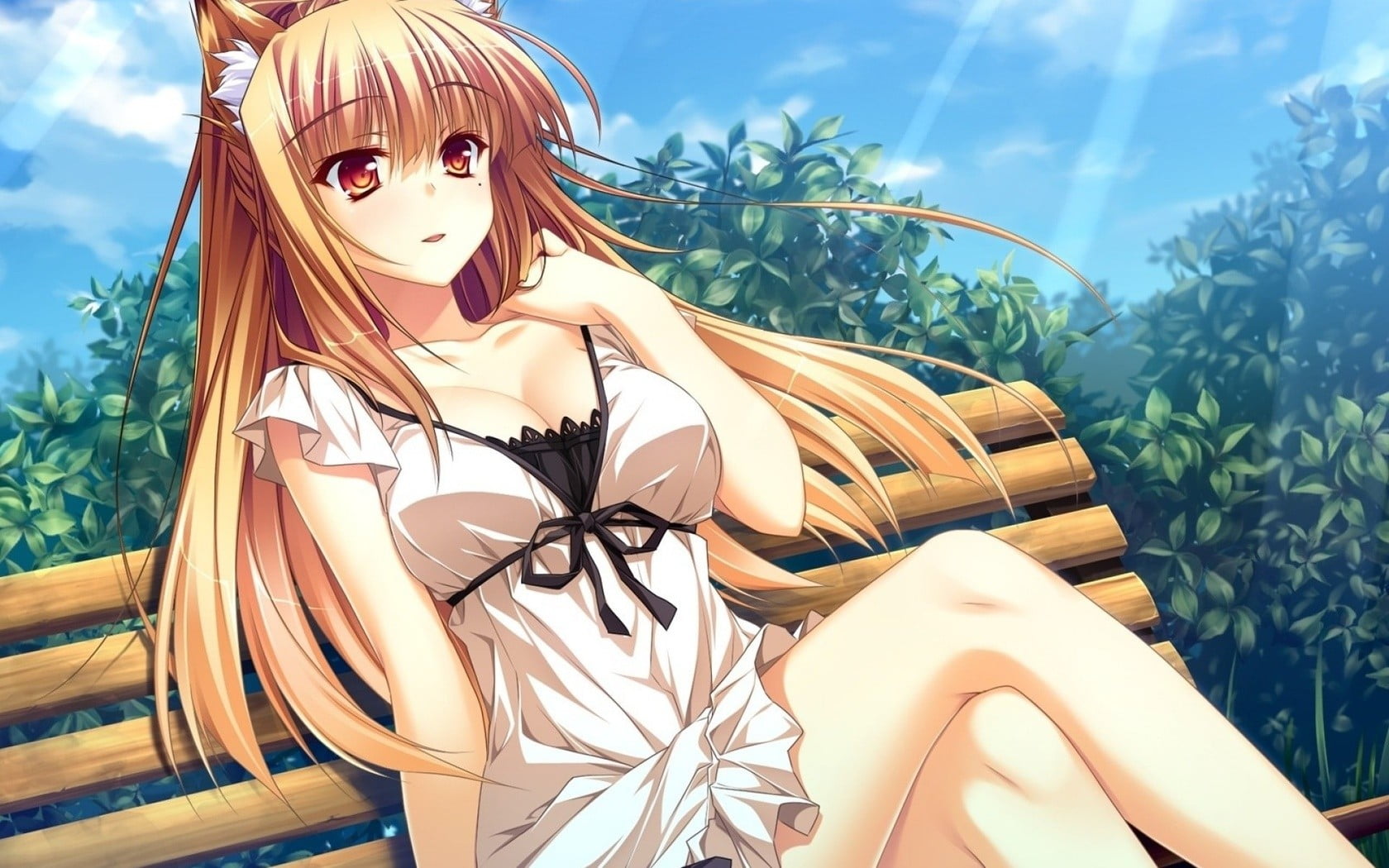sunny, real people, lifestyles, female, 720P, cleavage, beautiful woman, leisure activity, cat girl, tree, one person, blonde, clothing, haired, nature, HD Wallpaper