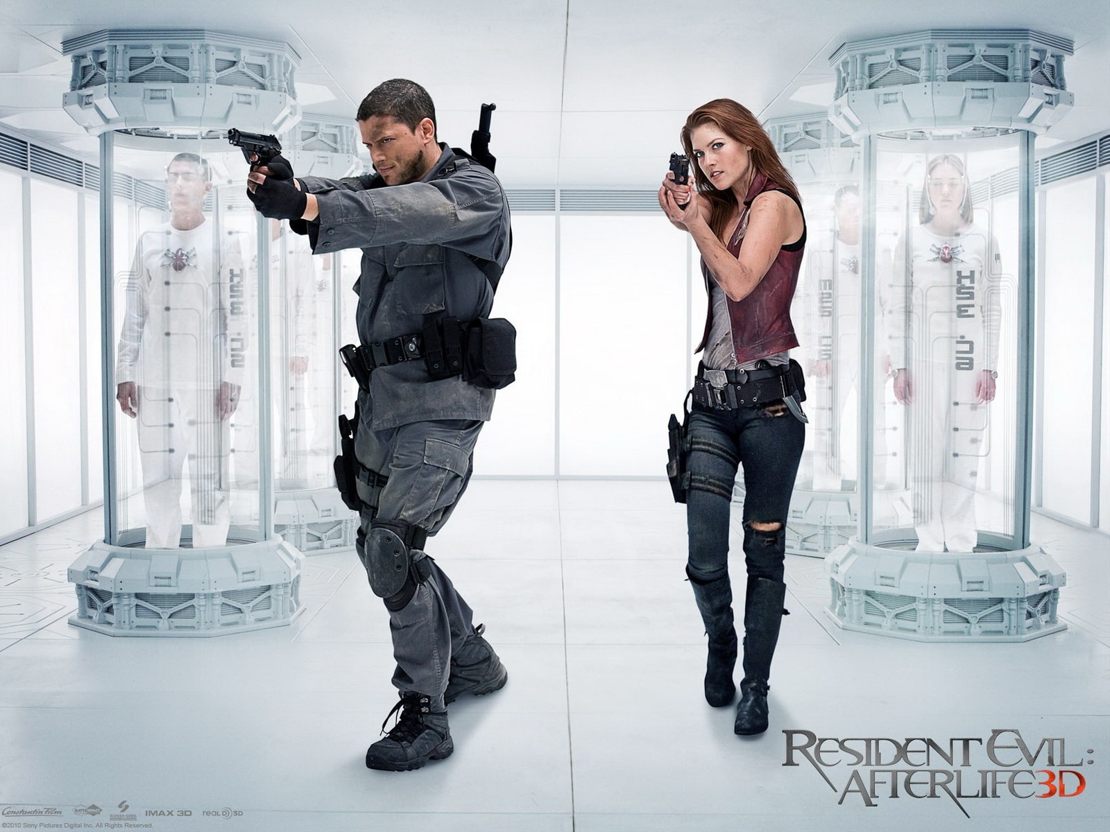 Resident, 720P, Afterlife, 2010, Evil, HD Wallpaper