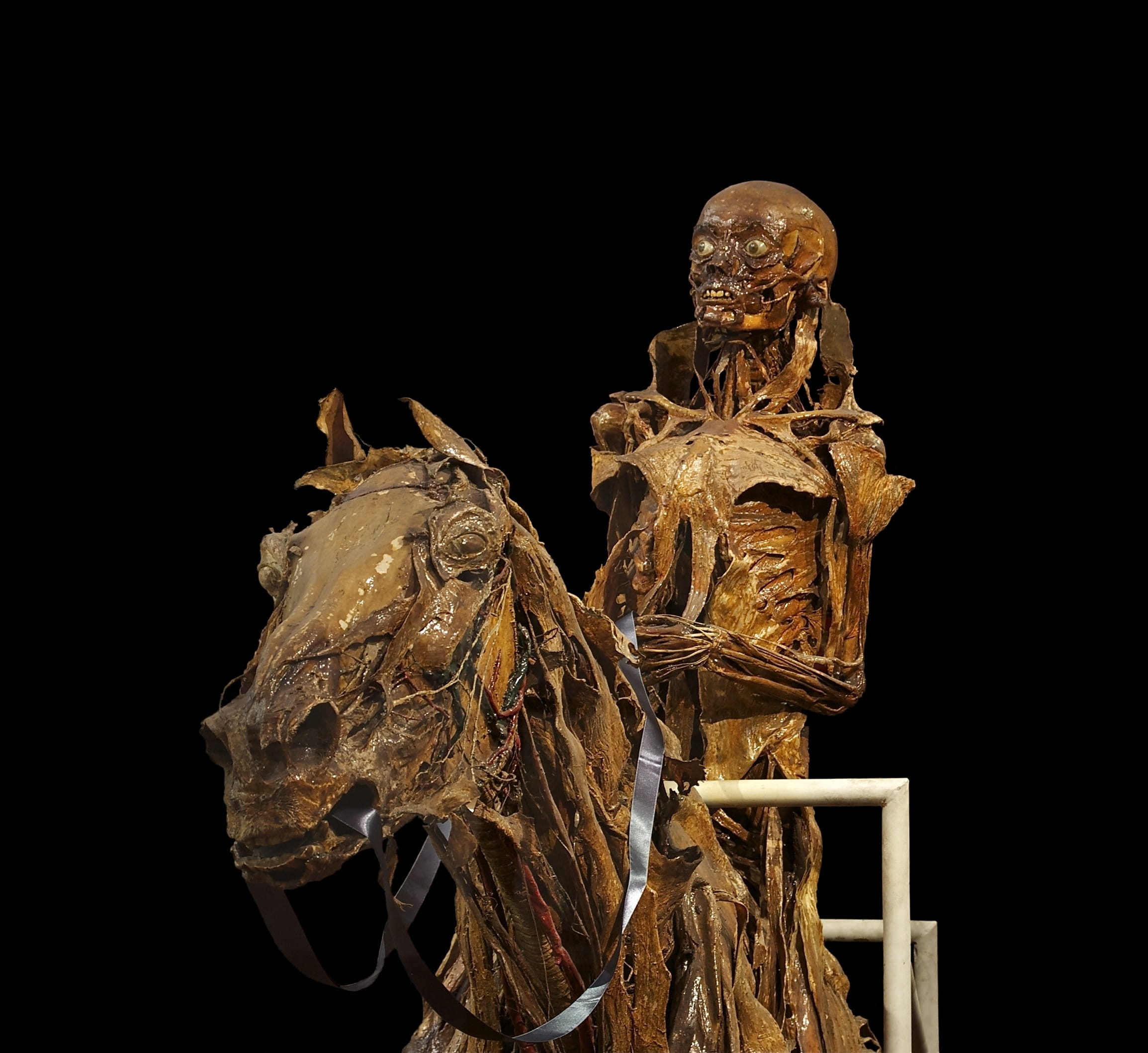 spirit, mummification, body worlds, photo, dead, honoré fragonard, carcass, no people, sculpture, rip, indoors, reiter, copy space, riding, decomposed, HD Wallpaper