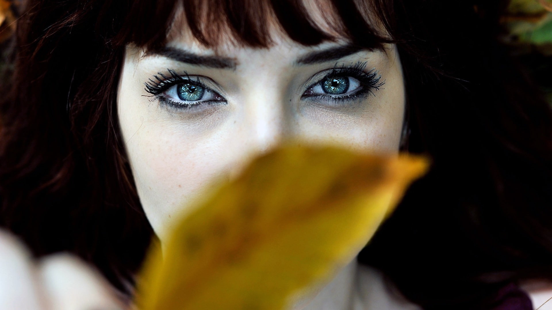 one person, bangs, Susan Coffey, headshot, body part, human eye, green eyes, beautiful woman, human body part, blue eyes, beauty, close-up, adult, hairstyle, HD Wallpaper