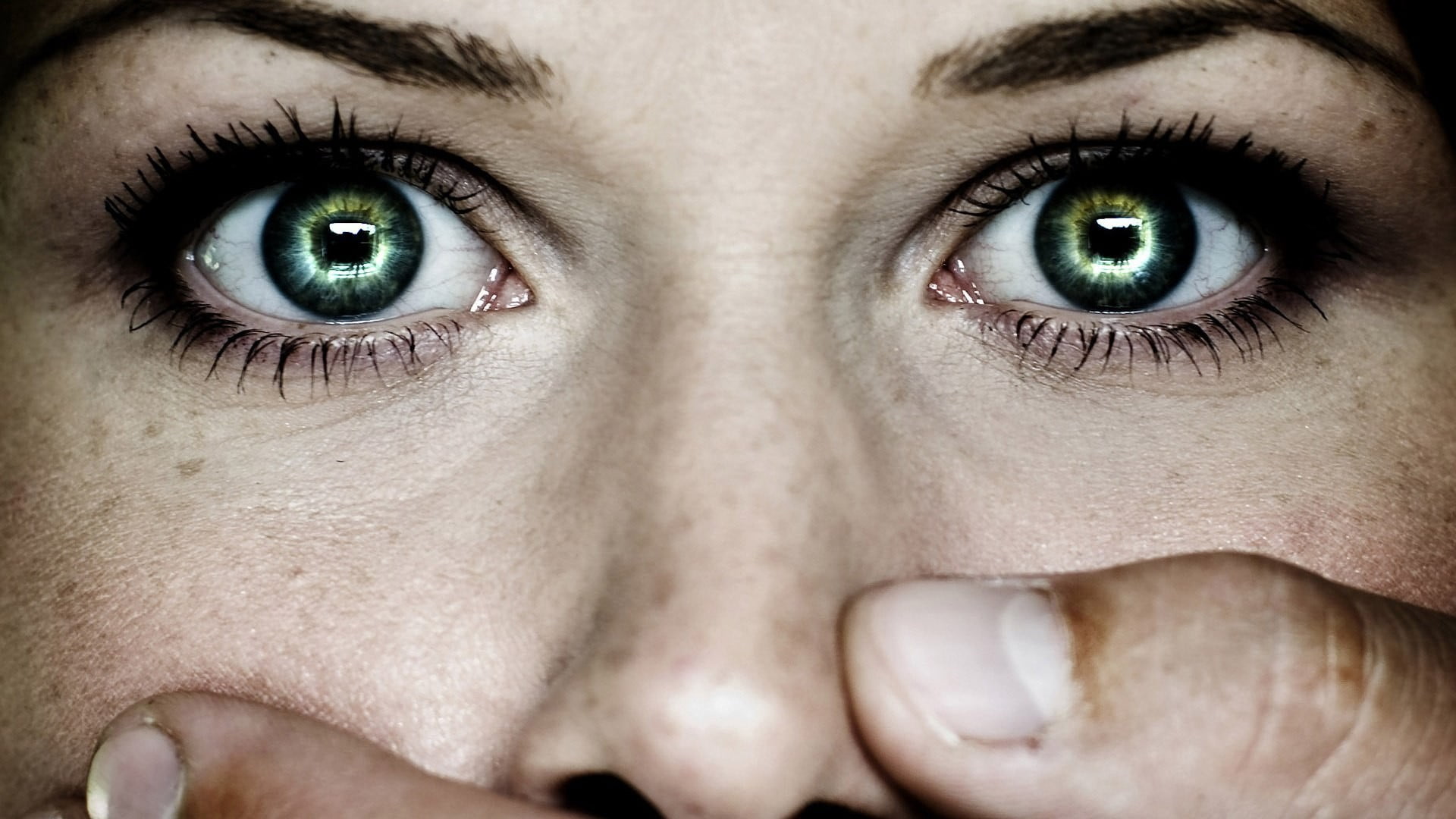 close-up, body part, looking at camera, adult, eyebrow, human face, eyelash, face, portrait, green eyes, iris - eye, beautiful woman, women, aggression, HD Wallpaper