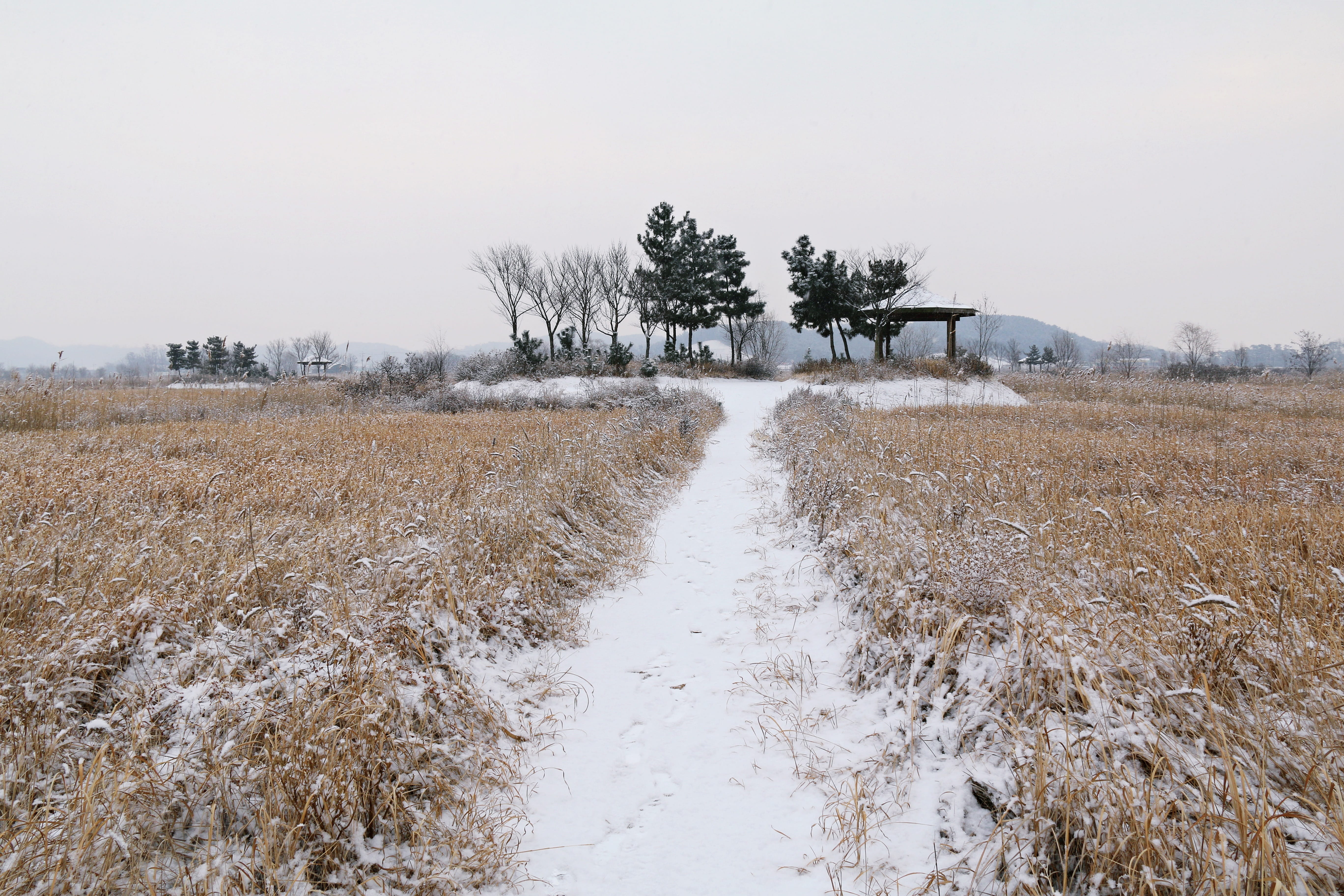 non-urban scene, republic of korea, hut, 5K, wood, plant, line of vision, environment, scenery, sky, the computer screen, homepage, tranquility, cold temperature, HD Wallpaper
