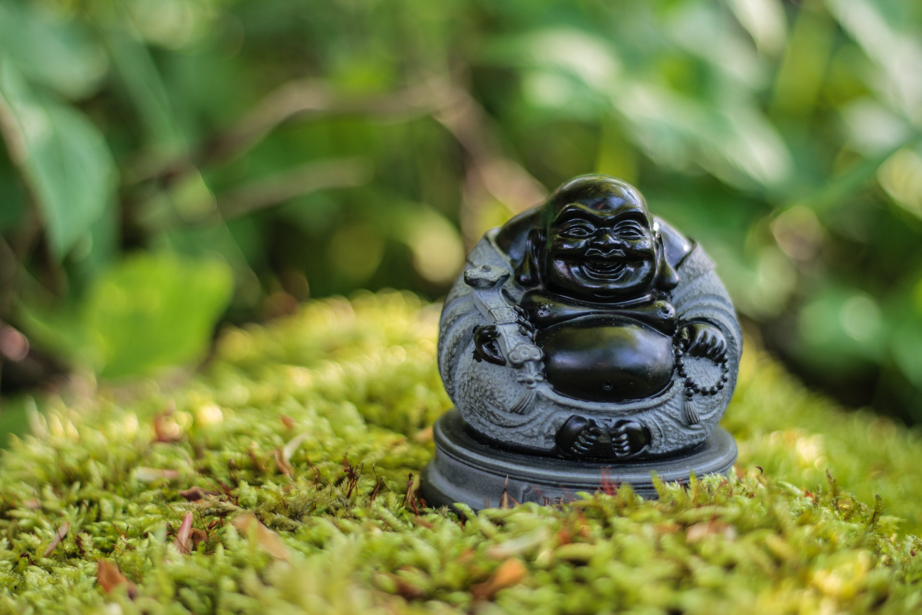 Religion, grass, plant, one animal, close-up, believe, green color, china, nature, meditation, sunlight, Buddhism, asia, focus on foreground, animal, outdoors, HD Wallpaper